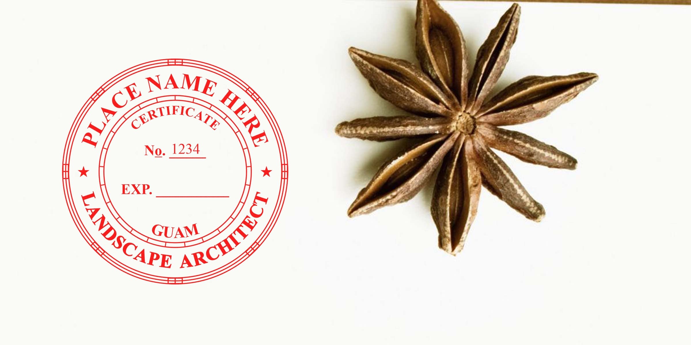 Red Guam landscape architect stamp with star anise on white, highlighting Guam architect licensing requirements.