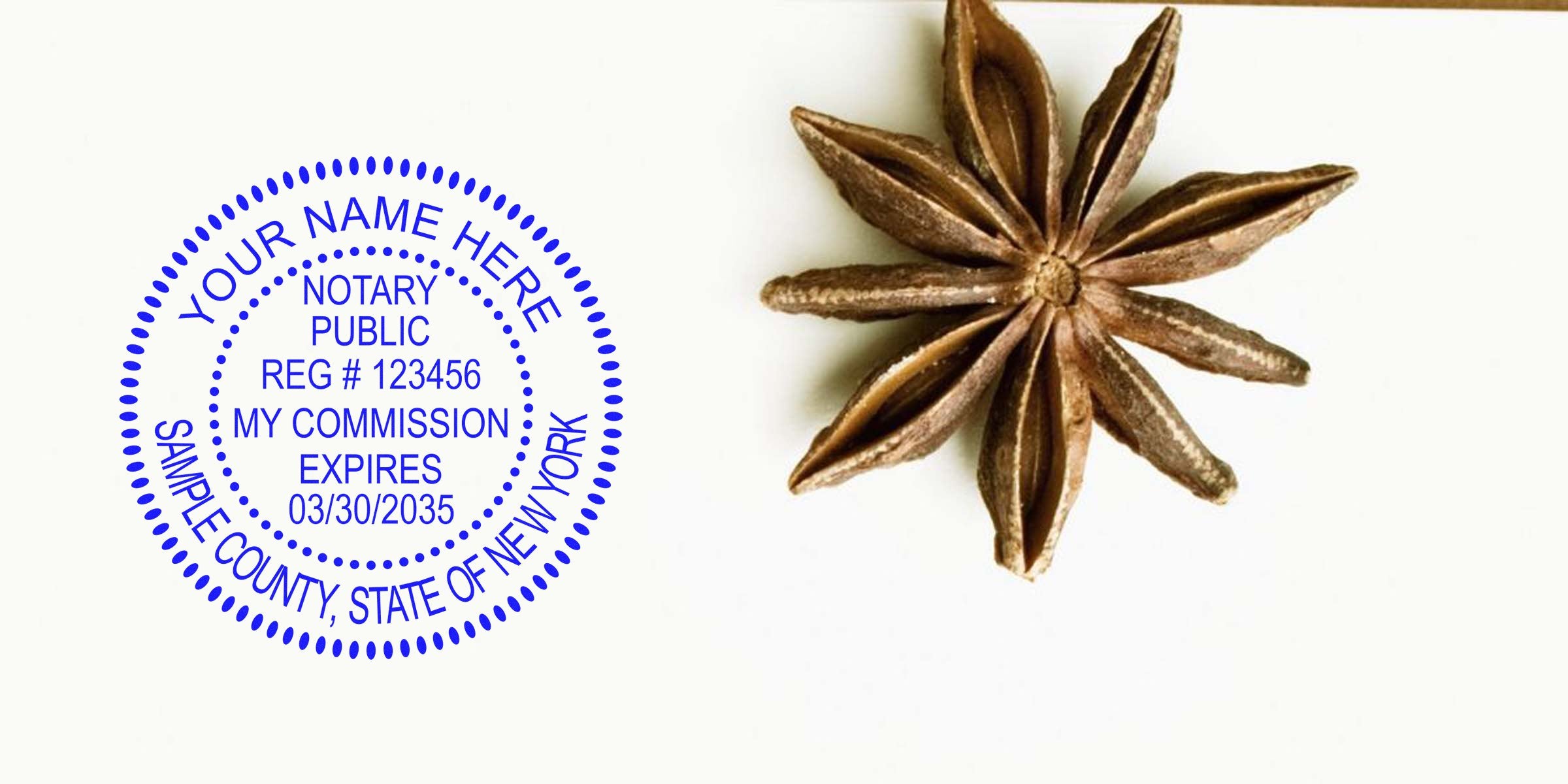 New York notary seal with commission expiry date and star anise on white background, illustrating notary seal requirements.