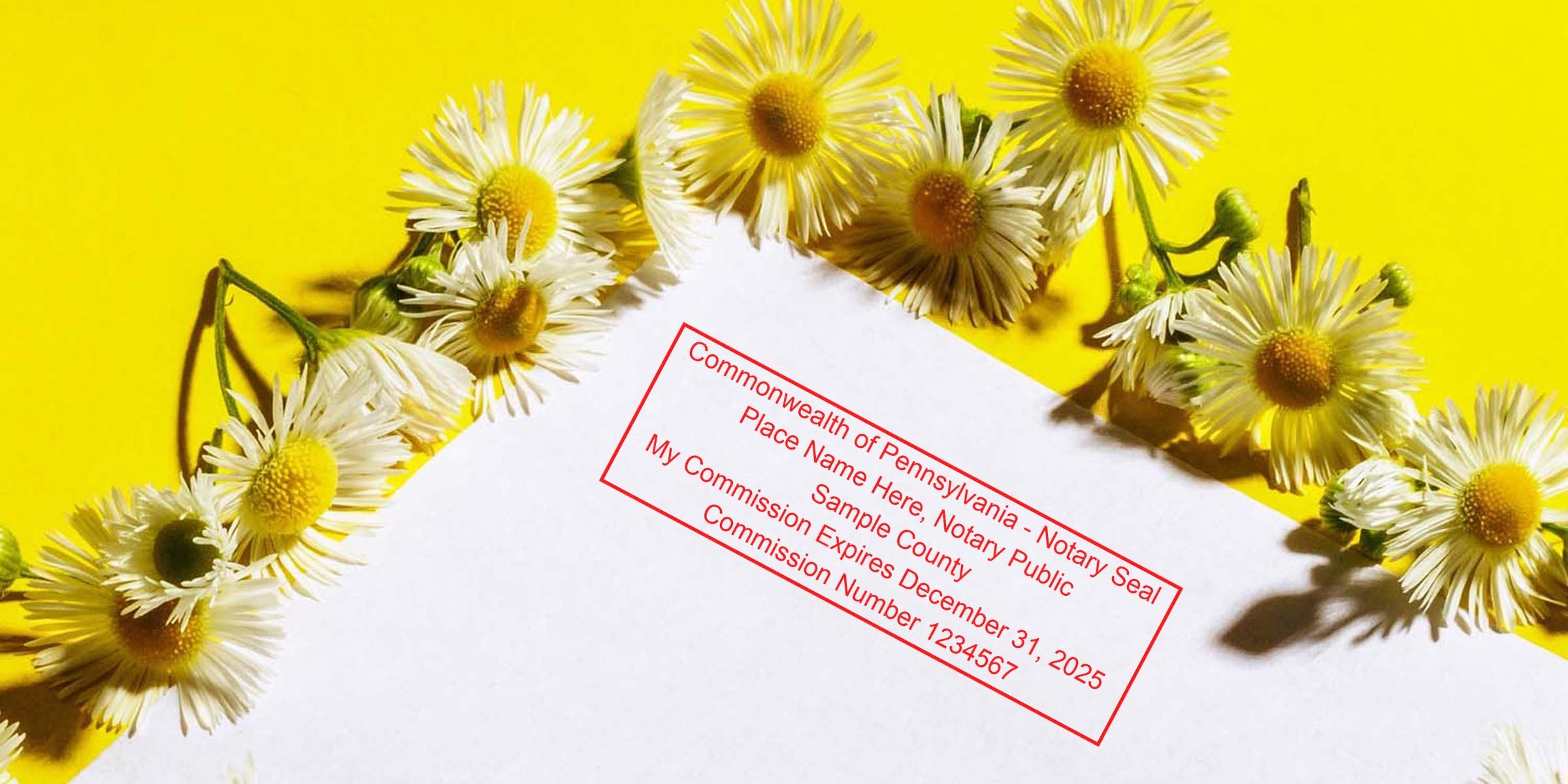 White daisies on yellow with a trusted Pennsylvania notary seal stamped on white paper.