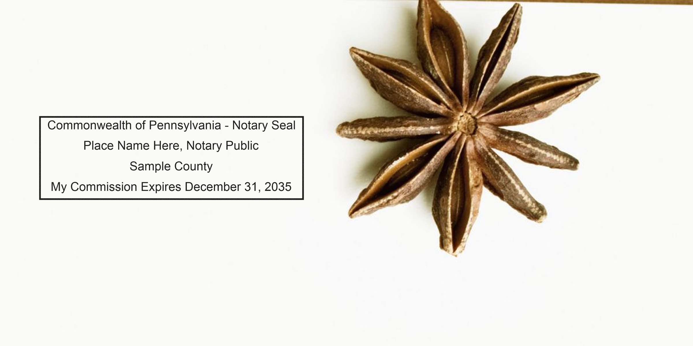 Pennsylvania Notary Public Seal with commission expiration date and star anise on white background, illustrating Pennsylvania Notary Seal requirements.