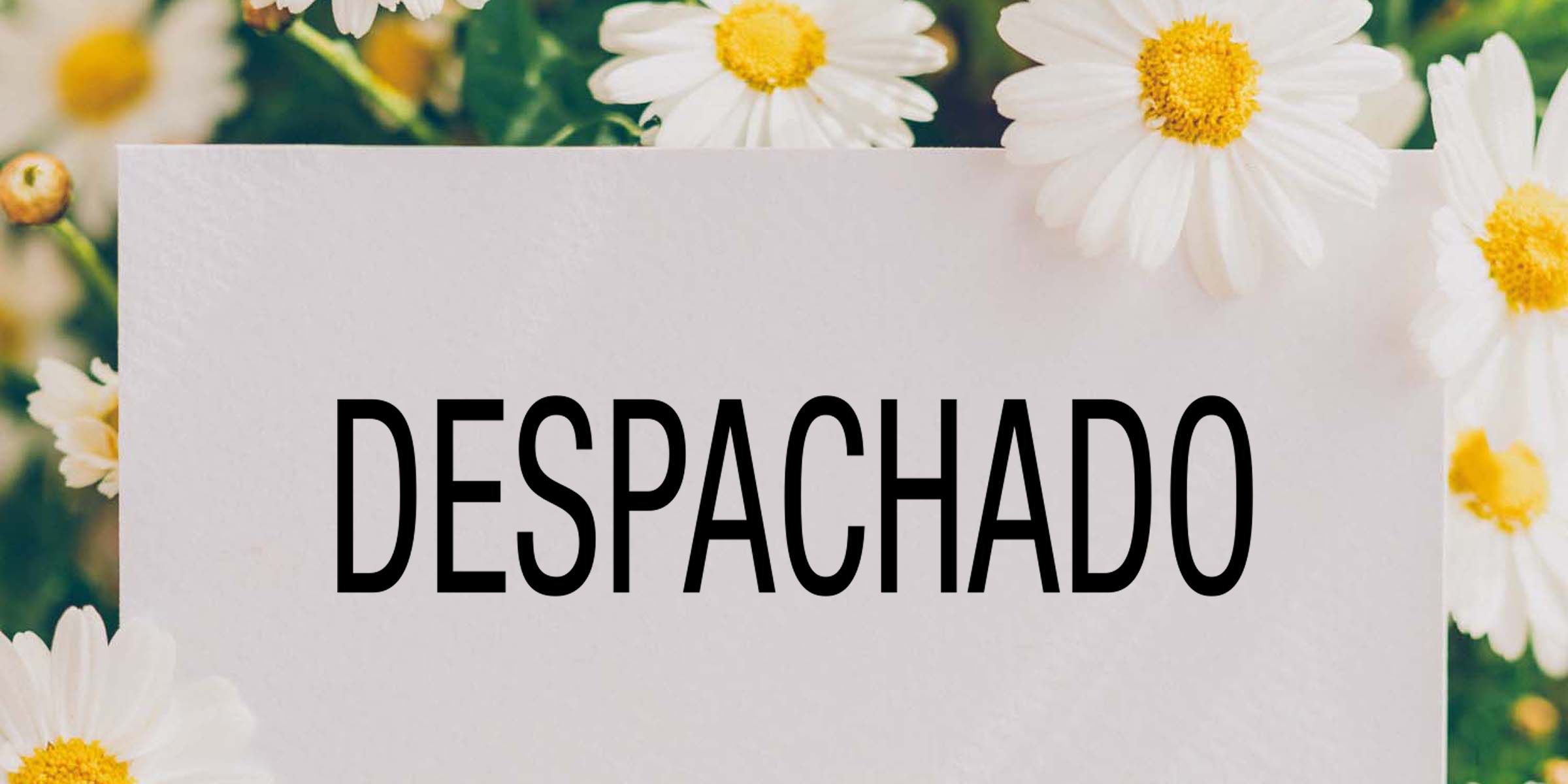 Why You’ll Love Using Spanish Calligraphy Stamps at Work