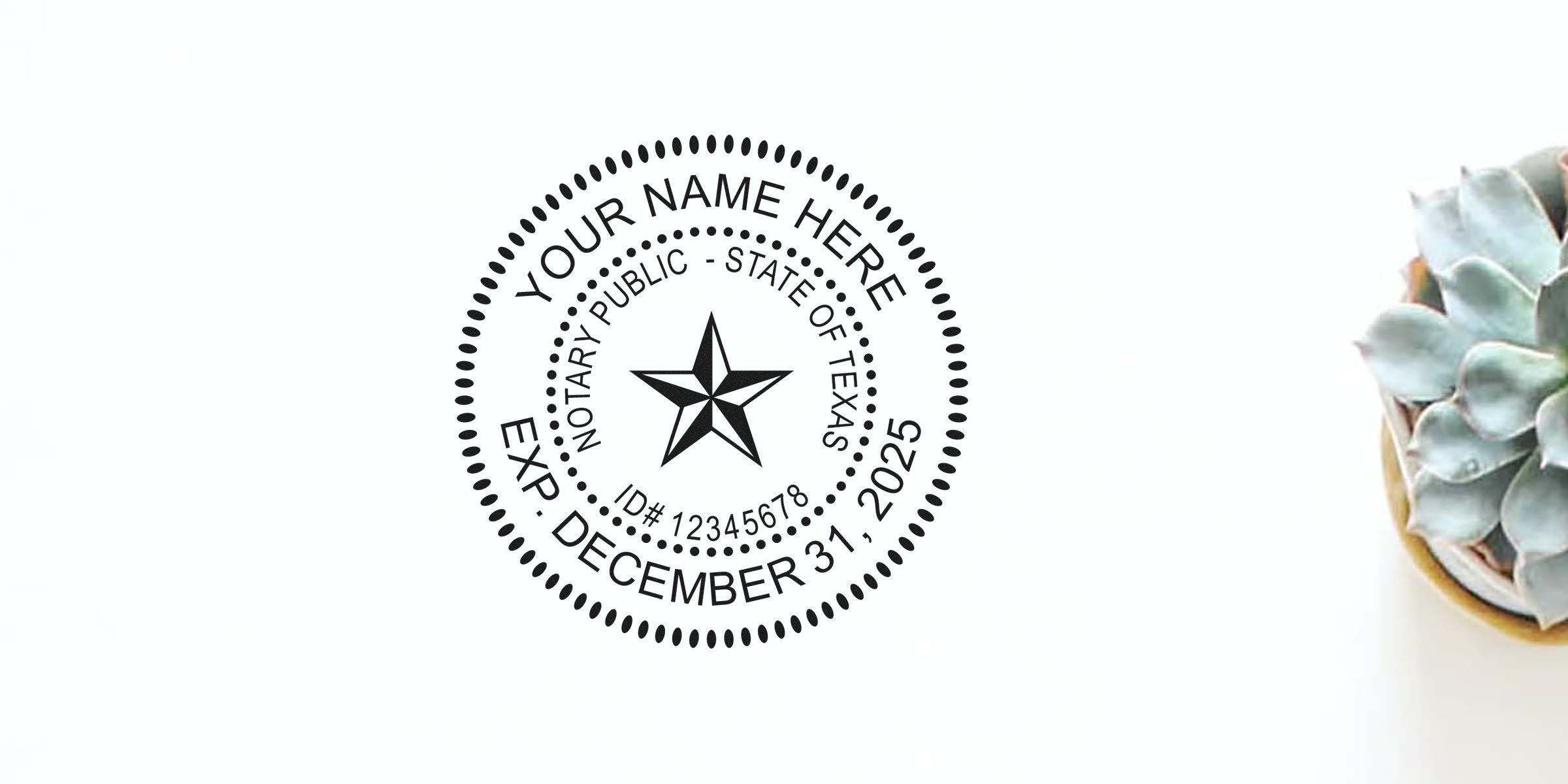 Texas notary public stamp with expiration date beside a succulent on white background, showing Texas notary stamp renewal and stamp requirements.