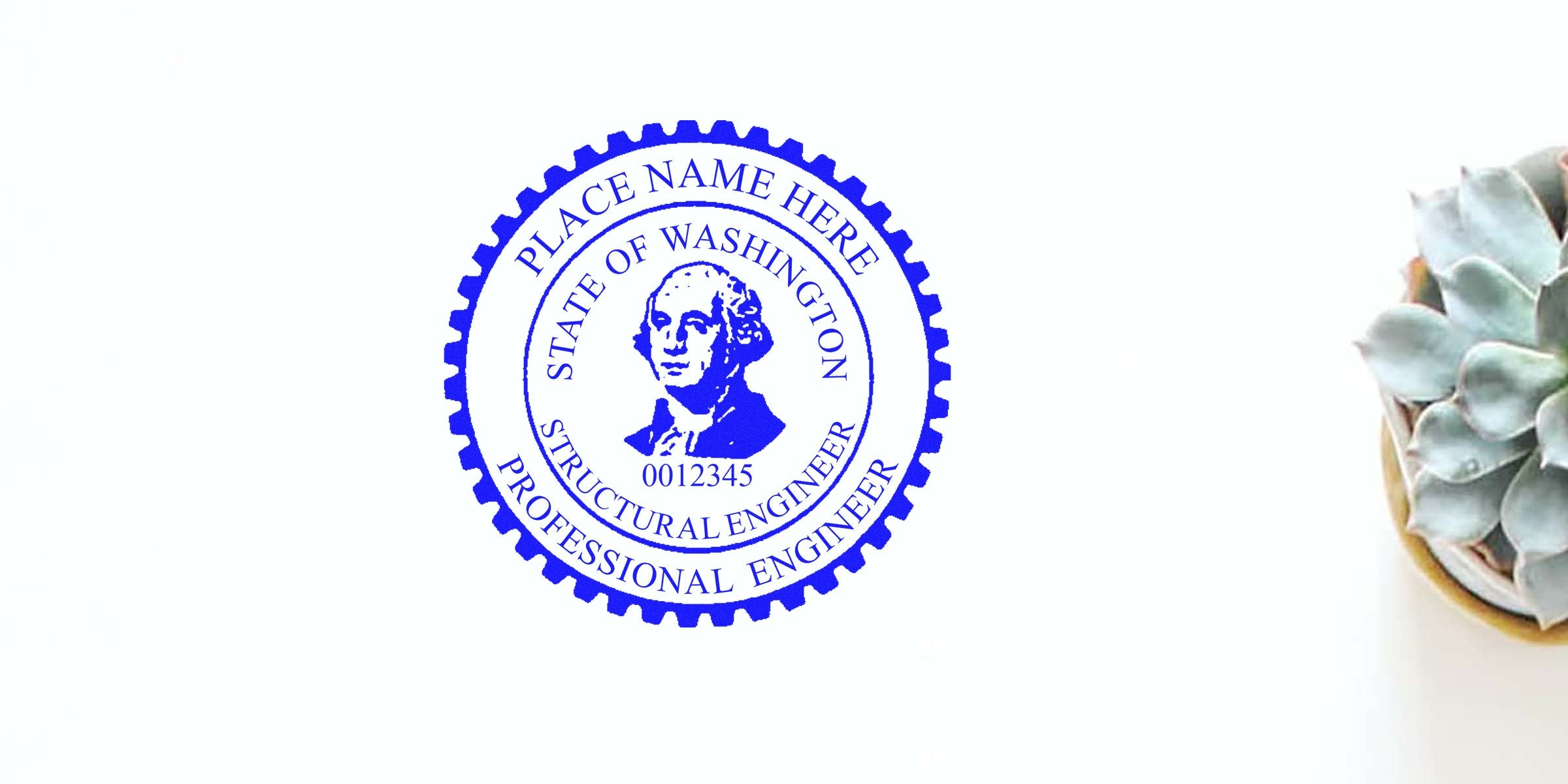 Washington engineer stamp with structural engineer seal and succulent plant on white background, symbolizing certified quality engineering.