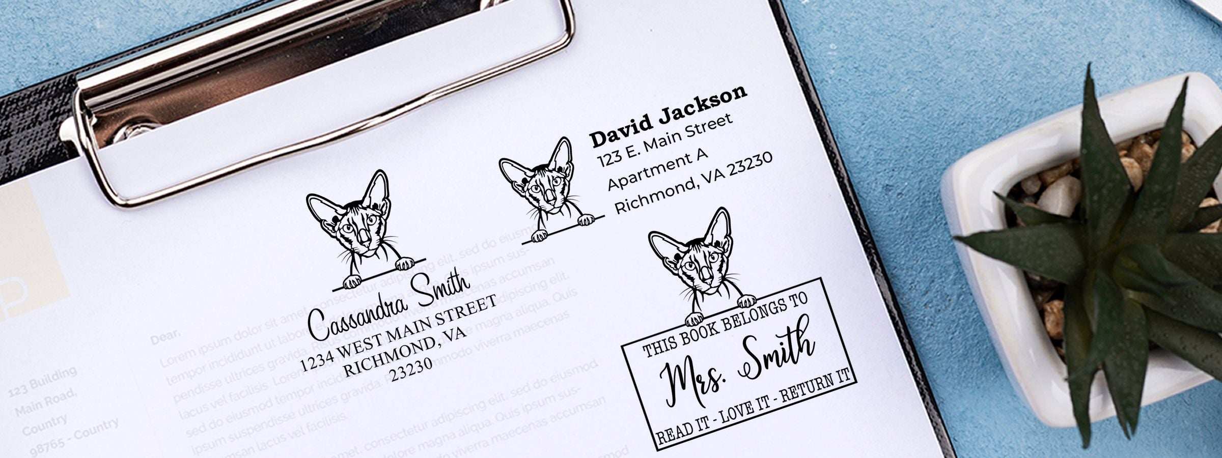 Clipboard with personalized cat address and book labels beside a succulent on blue, featuring Peterbald Cat Stamps and Custom Seals.