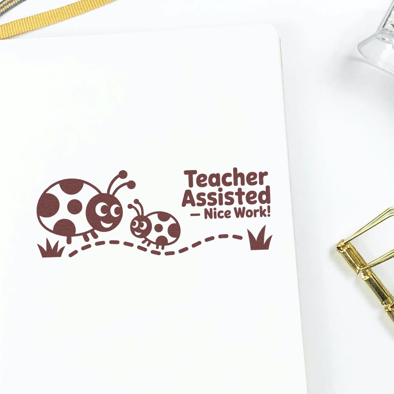 Teacher Assisted Nice Work rubber stamp with ladybug design for classroom feedback and student encouragement.