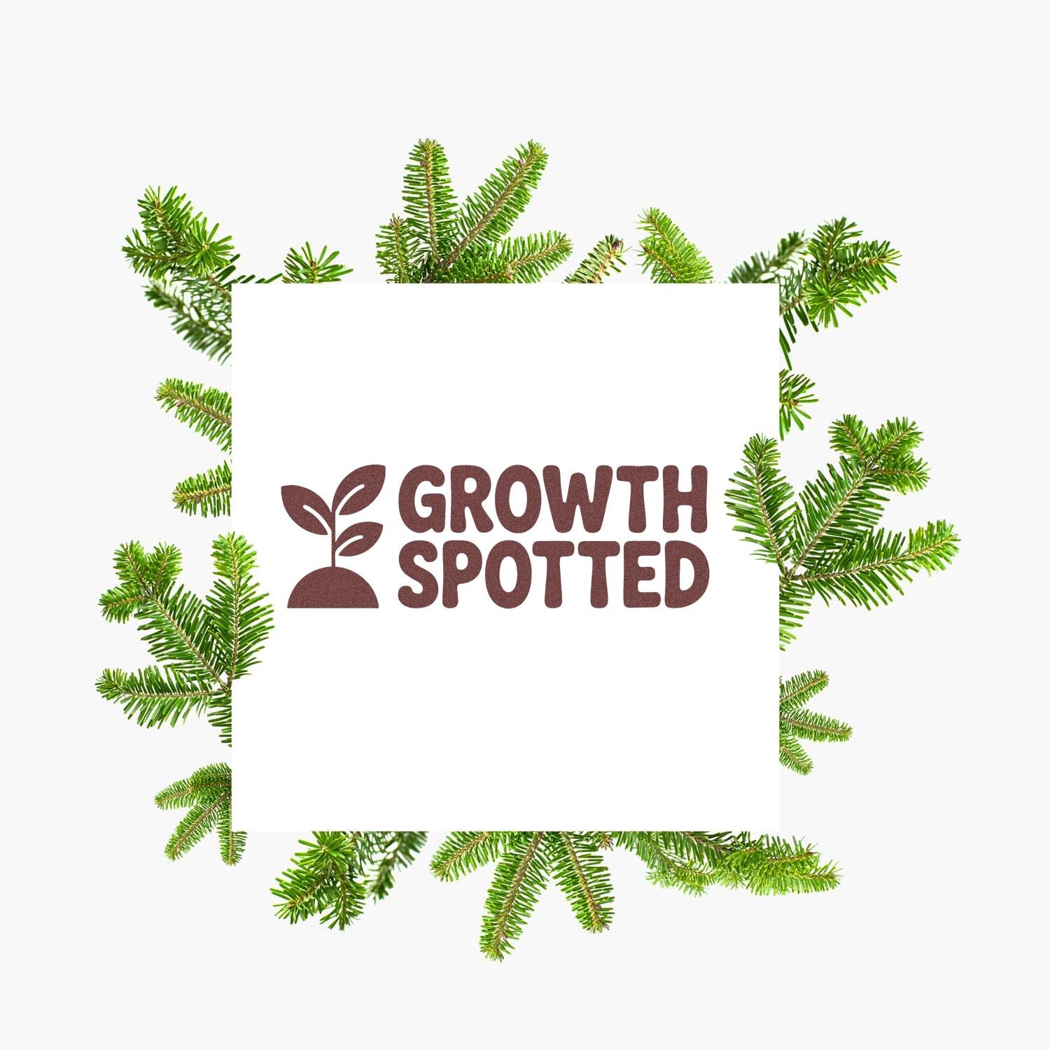 Growth Spotted rubber stamp design with sprout icon framed by fresh evergreen branches on a white background.