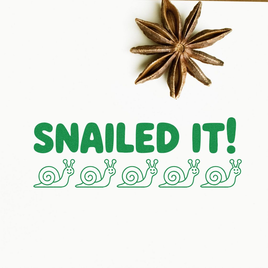 Snailed It! rubber stamp with snail icons and star anise accent, perfect for crafting, packaging, and playful snail-themed projects