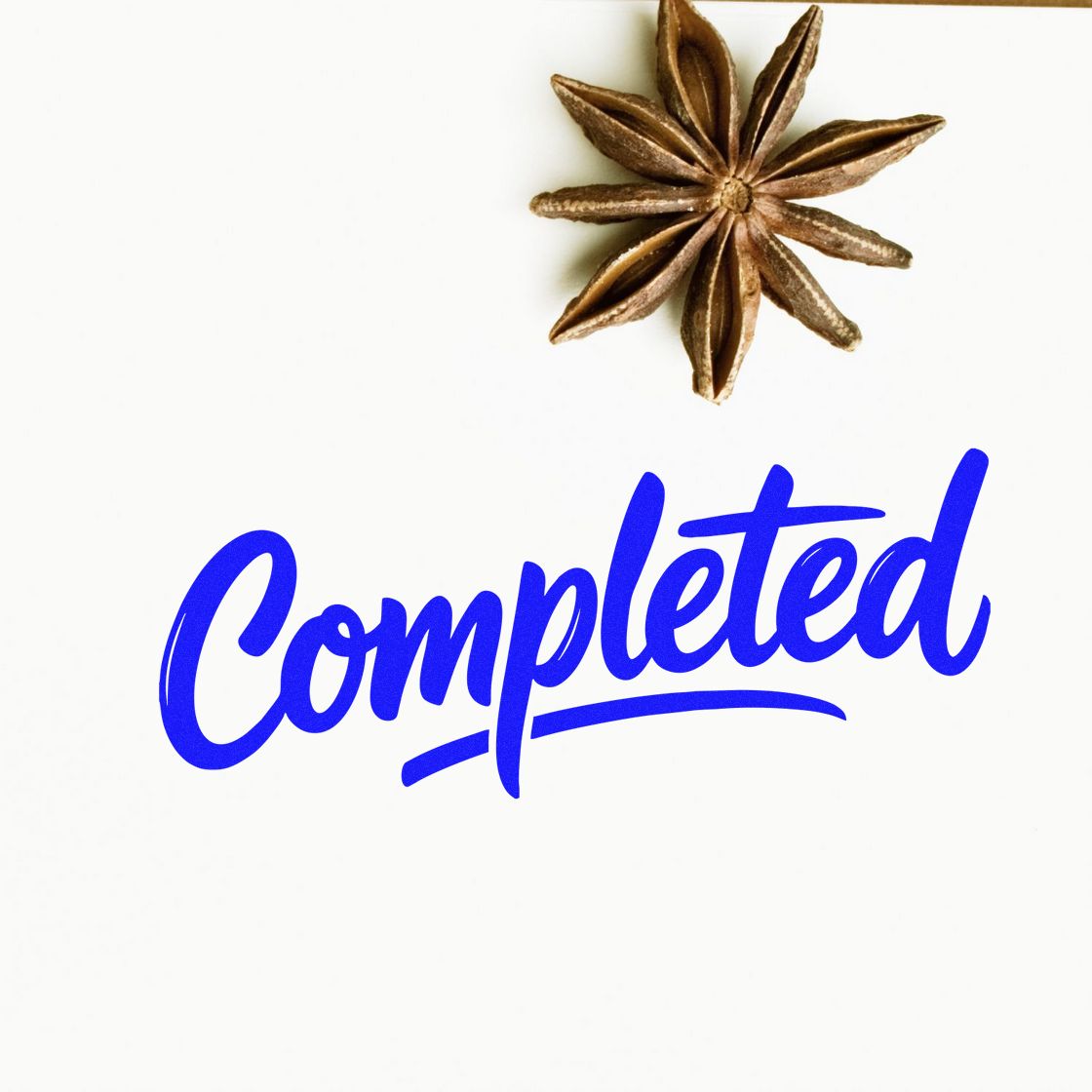 Completed rubber stamp design in blue script with star anise accent