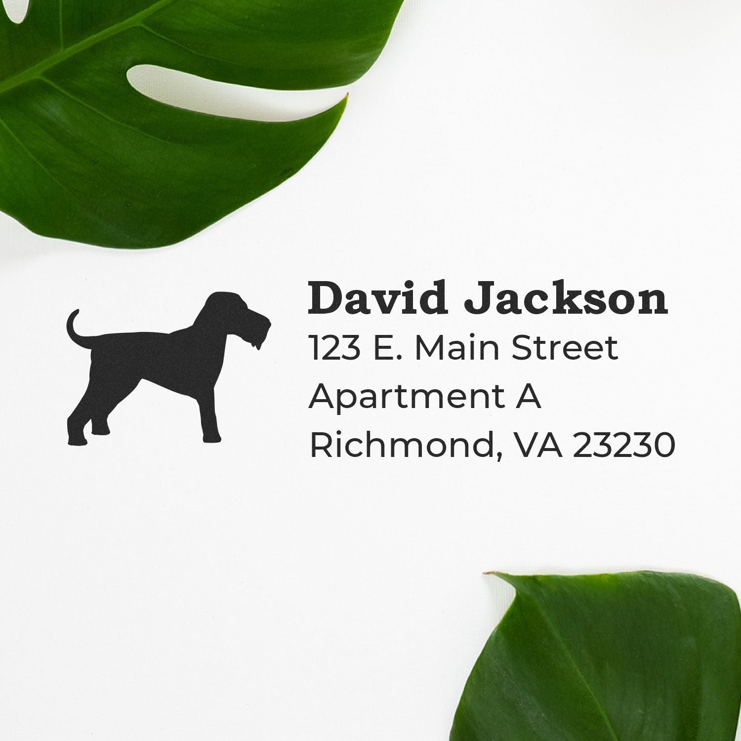 Custom dog return address rubber stamp with leafy design for David Jackson, Richmond, VA 23230