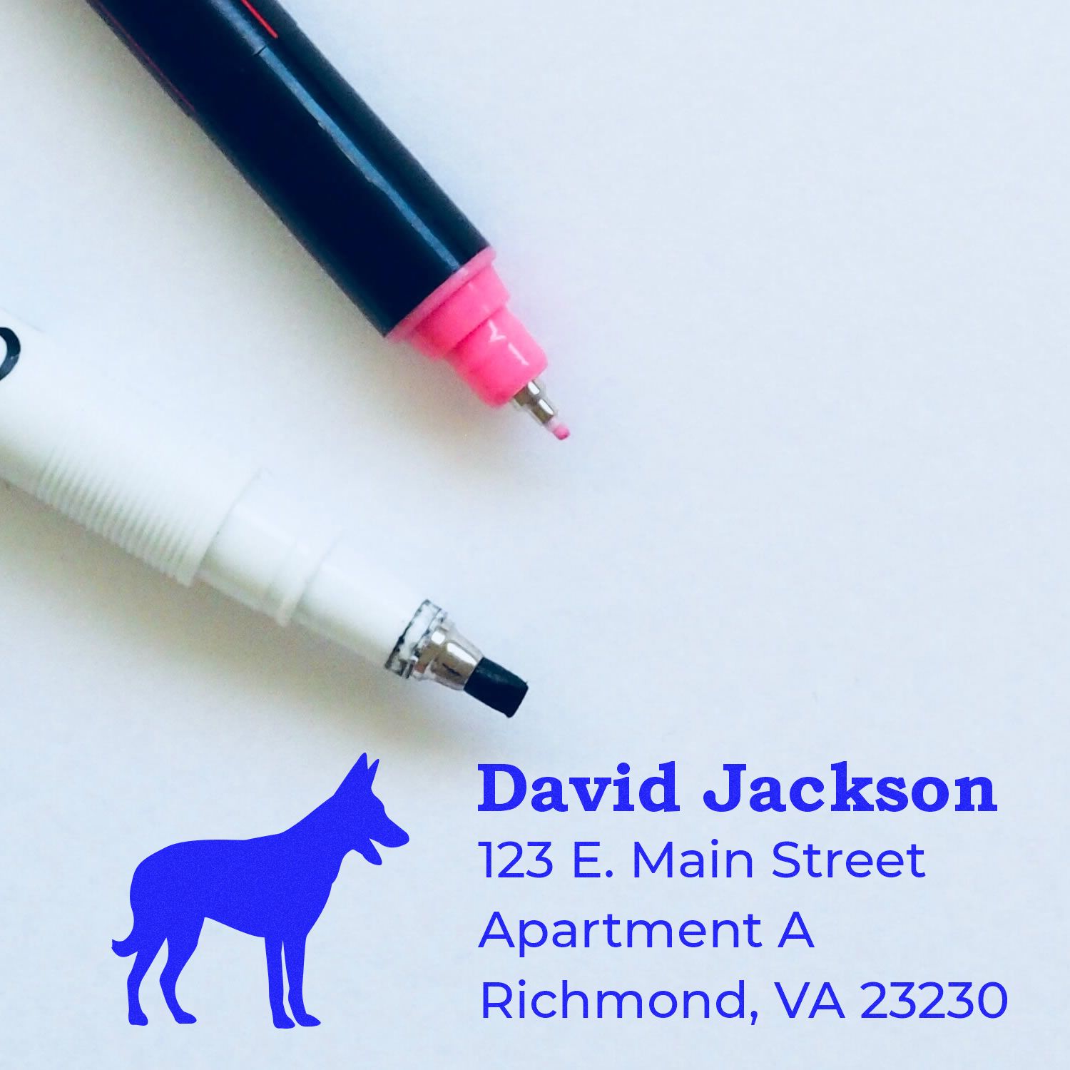 Custom address rubber stamp with dog logo and David Jackson return address, Richmond VA, for mailing envelopes.