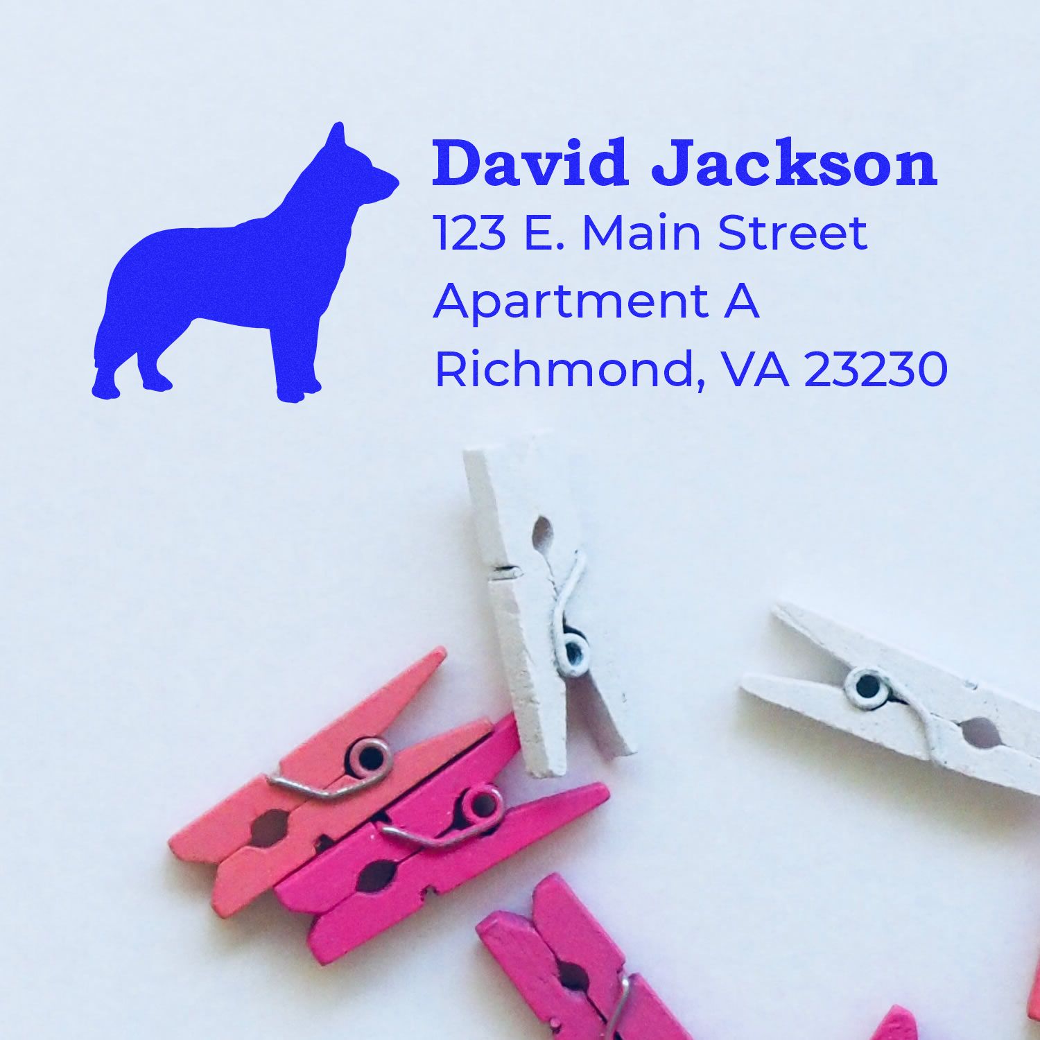 Custom dog return address rubber stamp for David Jackson, Richmond, VA 23230 with personalized name and address.