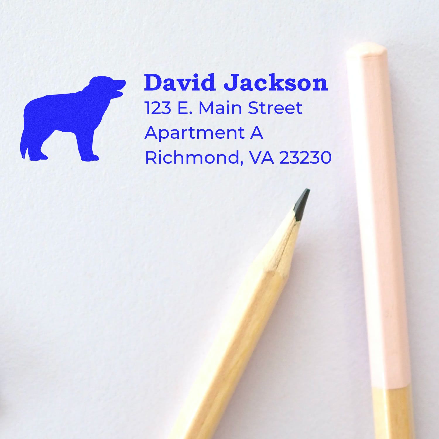 Personalized dog return address rubber stamp with name, street, apartment, and Richmond, VA address in blue ink.