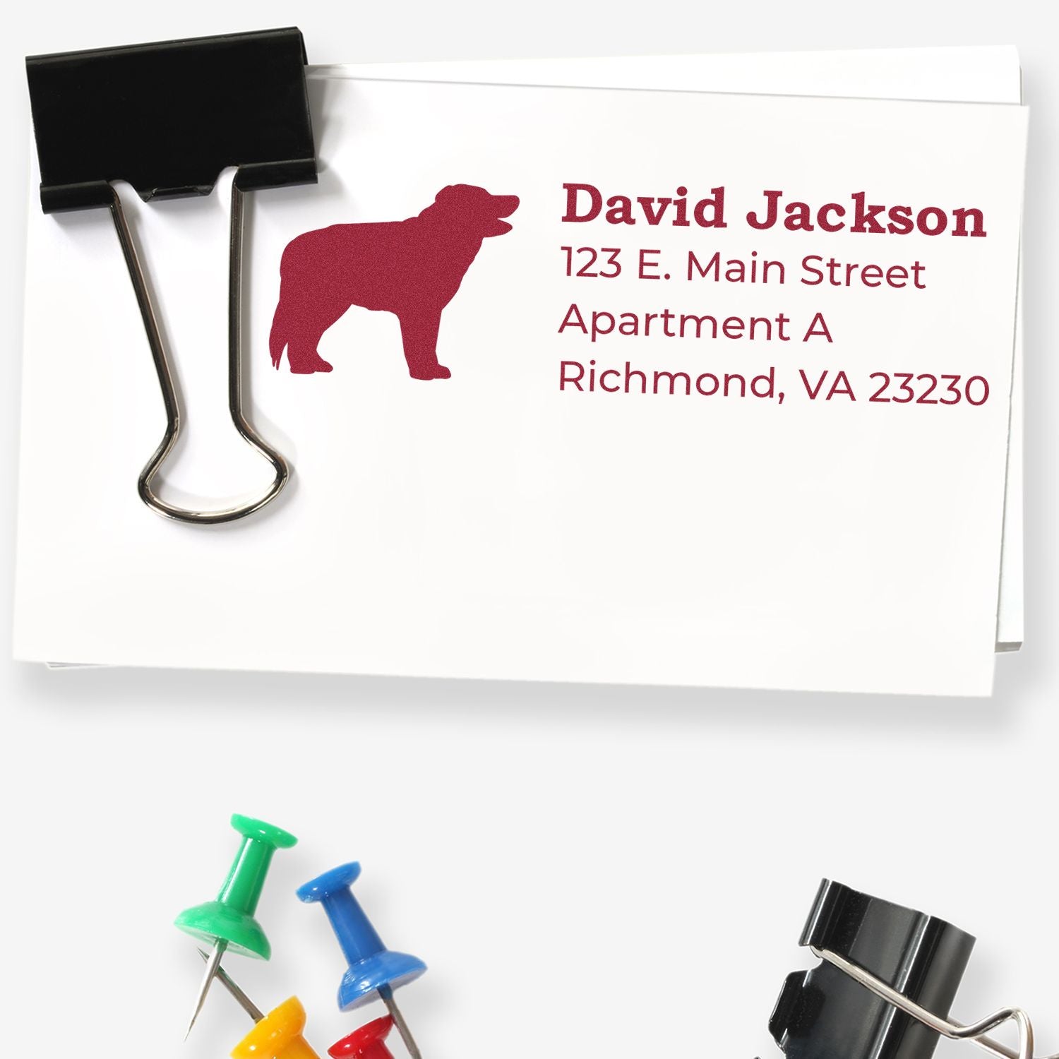 Custom return address rubber stamp with dog logo for envelopes, shown on paper with binder clip and push pins