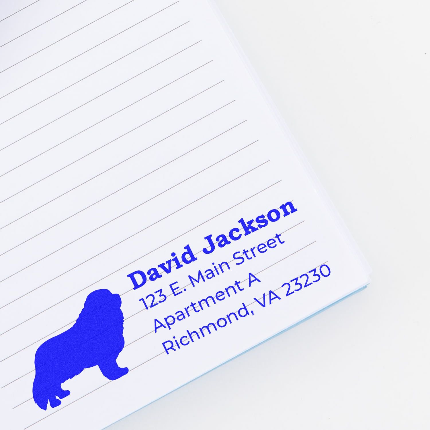 Custom rubber return address stamp with bear silhouette, featuring David Jackson name and Richmond, VA address.