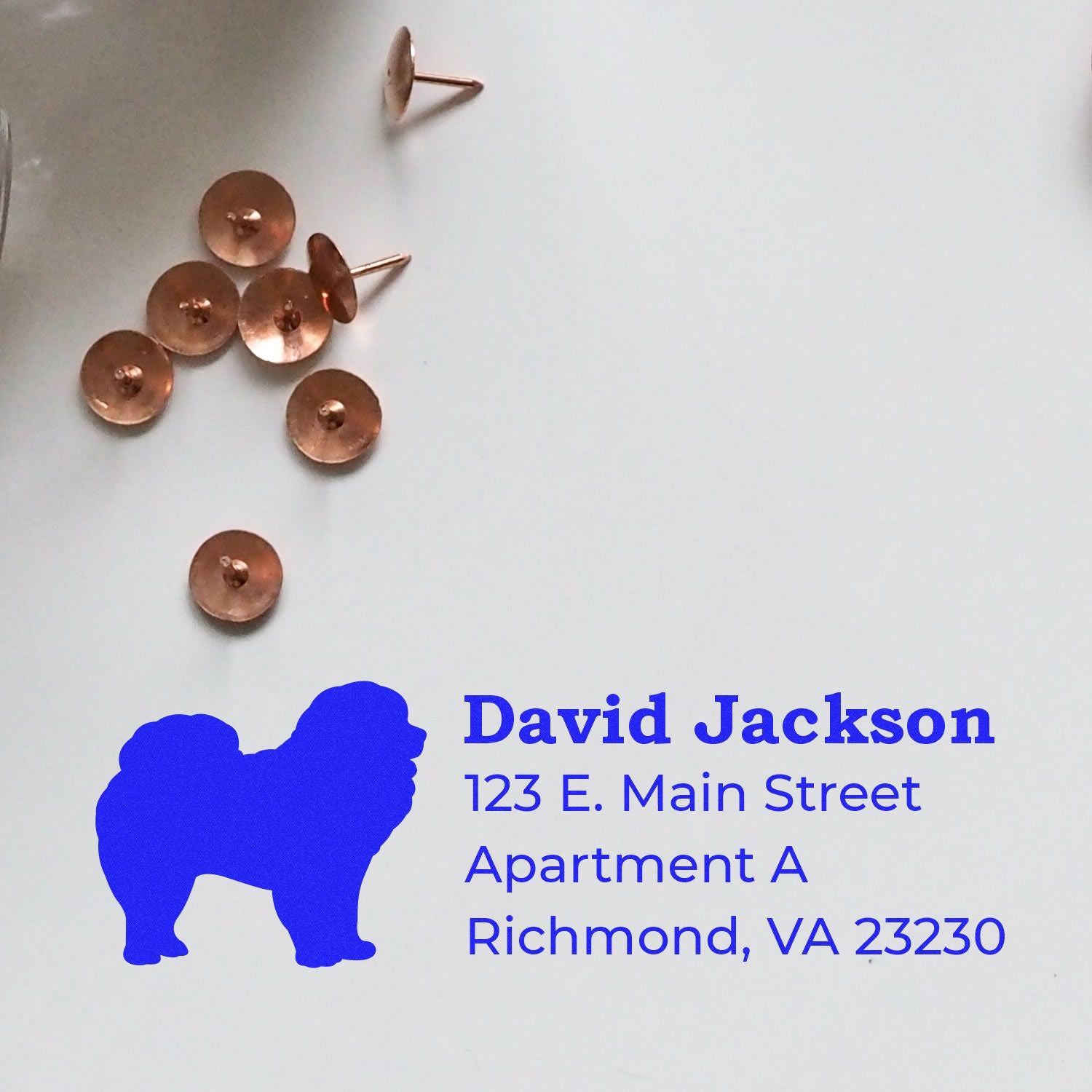 Custom rubber return address stamp with dog silhouette for David Jackson, 123 E. Main St., Apt. A, Richmond, VA.