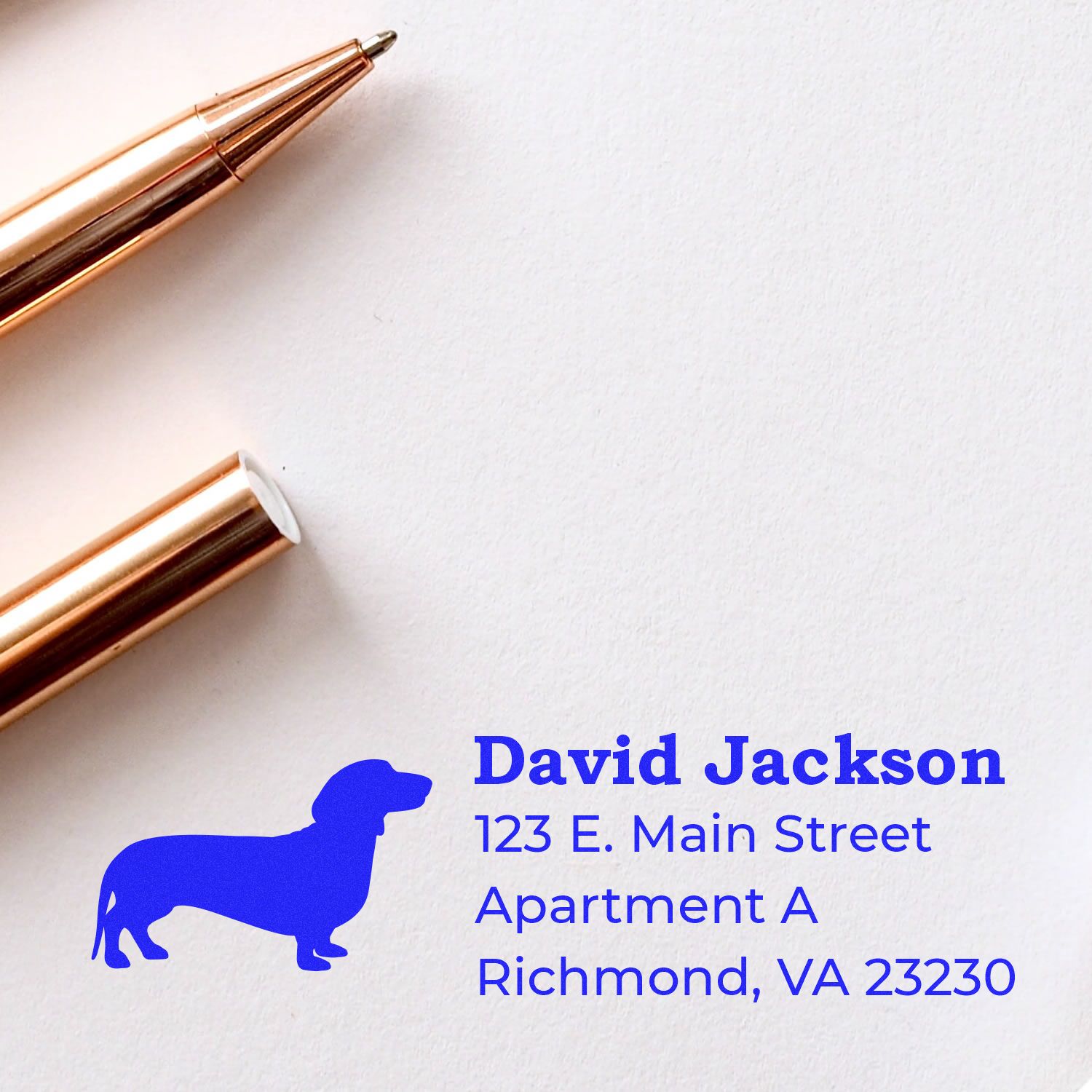 Custom return address rubber stamp with dachshund silhouette and blue address block for David Jackson, Richmond, VA.