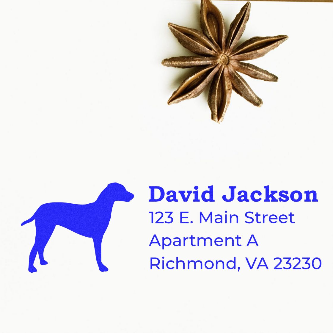 Custom dog return address rubber stamp with blue silhouette, name, and Richmond, VA address.