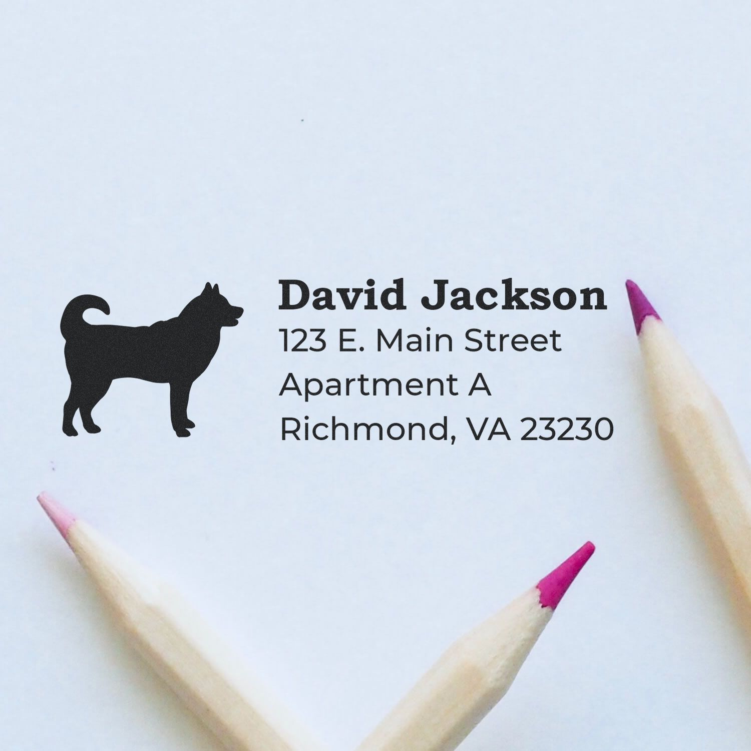 Custom dog return address rubber stamp for David Jackson, Richmond, VA, ideal for apartment mail and packaging.