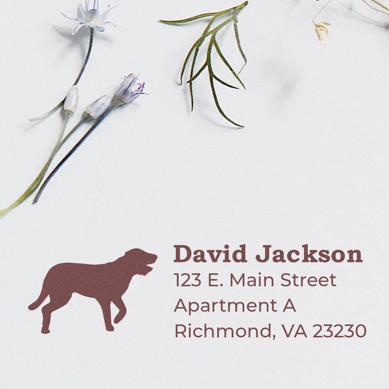 Custom dog return address rubber stamp with silhouette, floral accents, and David Jackson, Richmond, VA address.