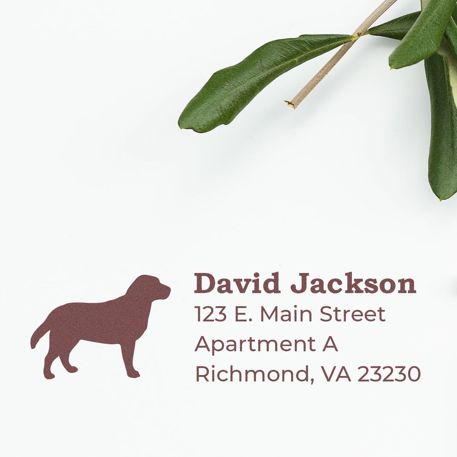 Personalized dog return address rubber stamp with name, apartment, and Richmond, VA address