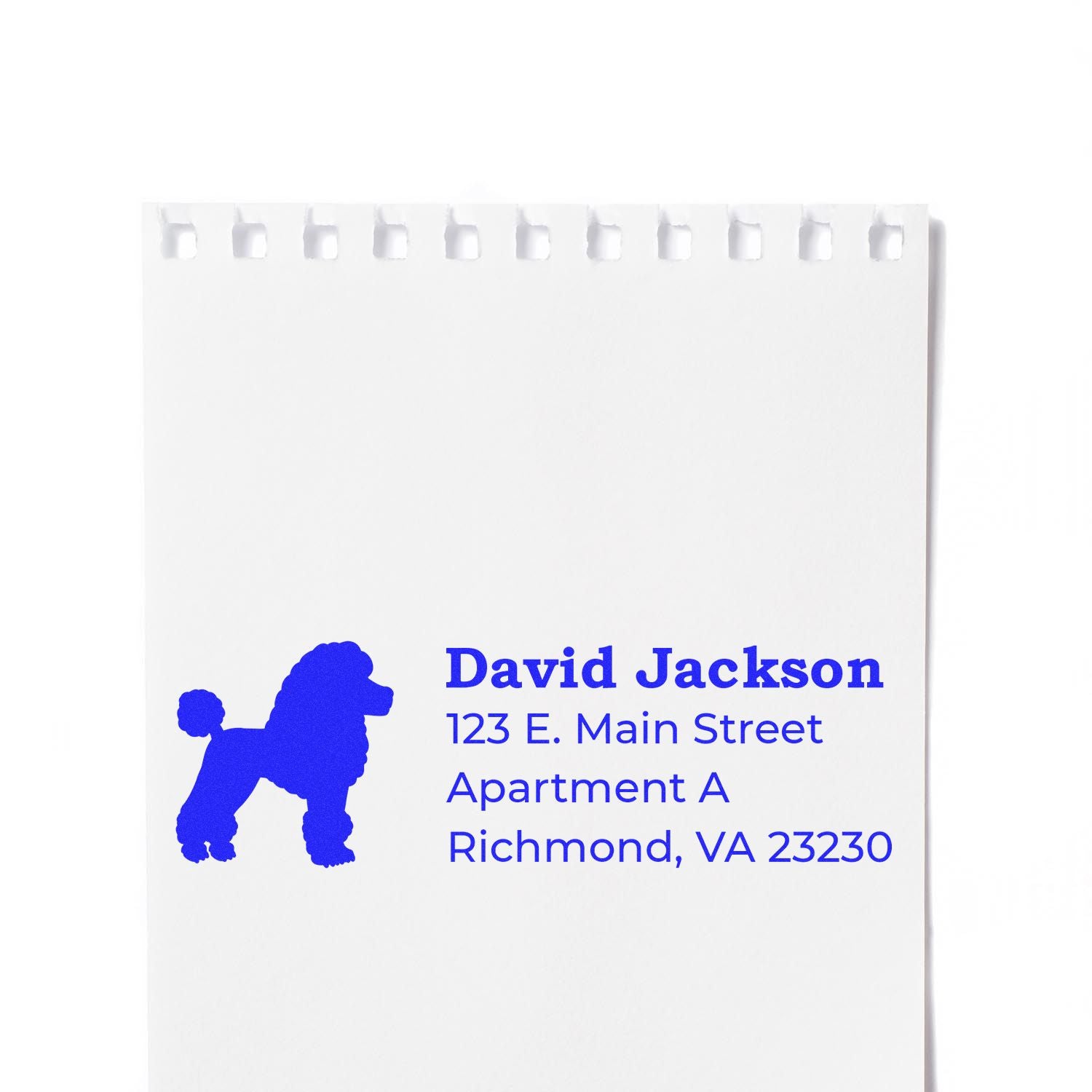 Personalized poodle address rubber stamp with David Jackson and Richmond, VA 23230 mailing details.