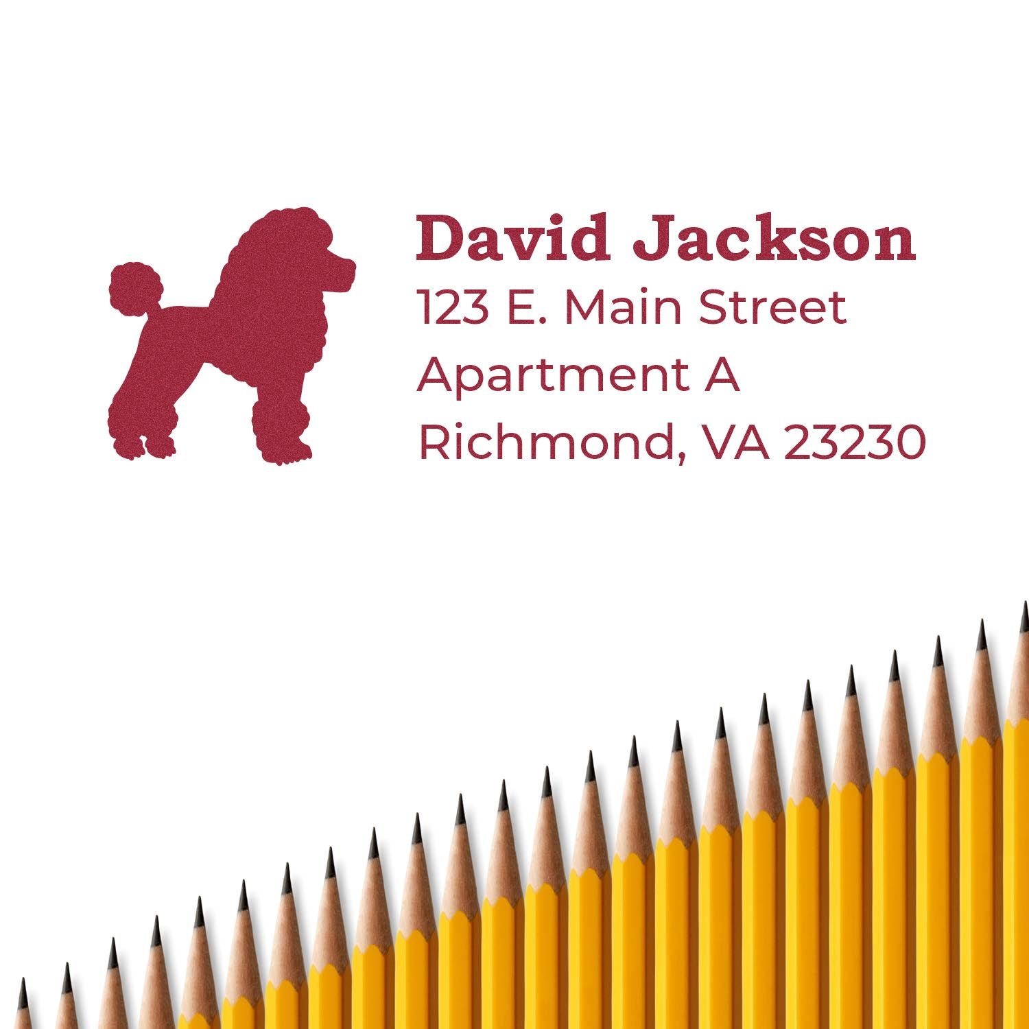 Custom poodle return address rubber stamp with personalized name, apartment, and Richmond, VA address