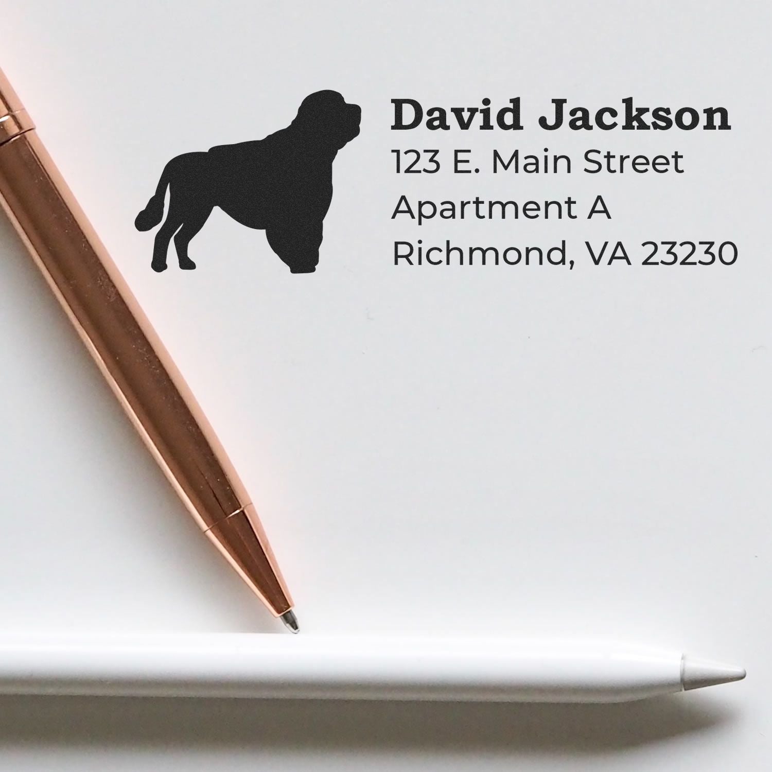 Custom bulldog return address rubber stamp with name and Richmond, VA mailing address for personalized envelopes.