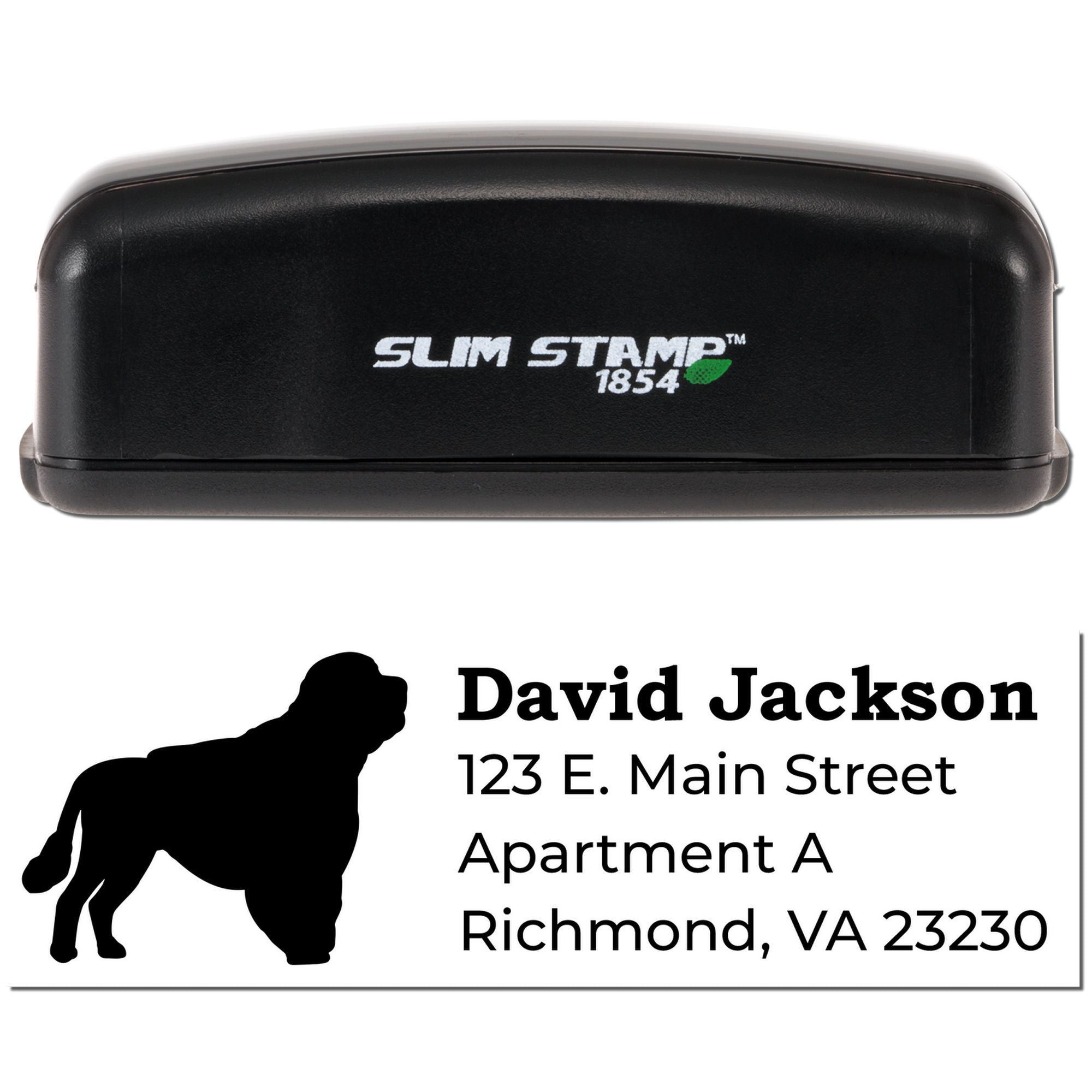 Custom Slim Stamp 1854 rubber address stamp with lion logo and David Jackson Richmond, VA return address imprint