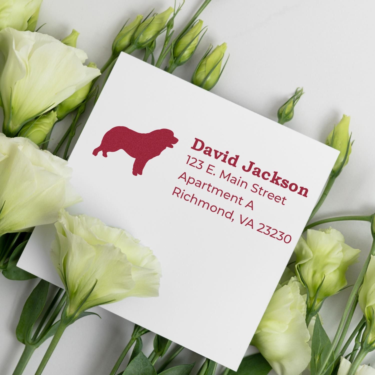 Personalized return address rubber stamp with buffalo logo for envelopes and wedding stationery