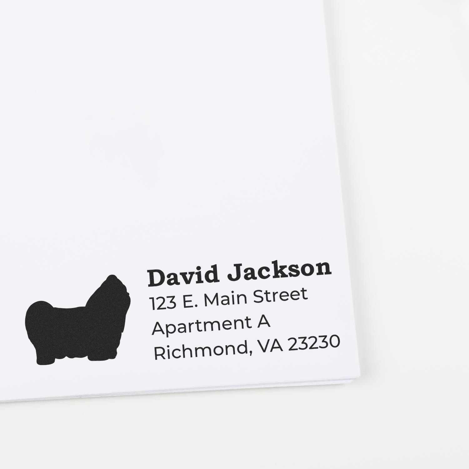 Custom address rubber stamp with dog silhouette for David Jackson, Richmond, VA mailing envelopes.