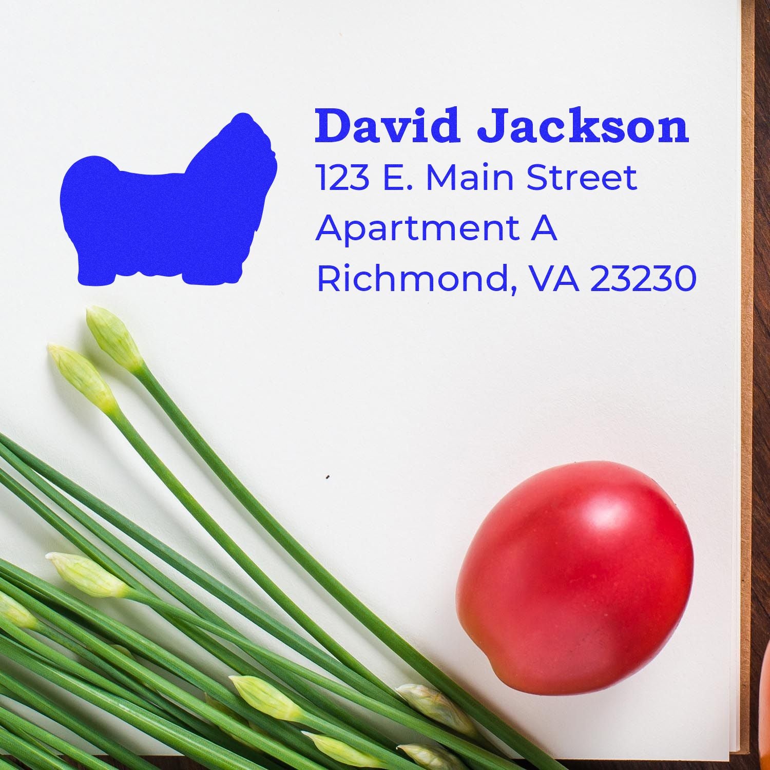 Custom return address rubber stamp with dog silhouette for David Jackson, Richmond, VA mailing address.