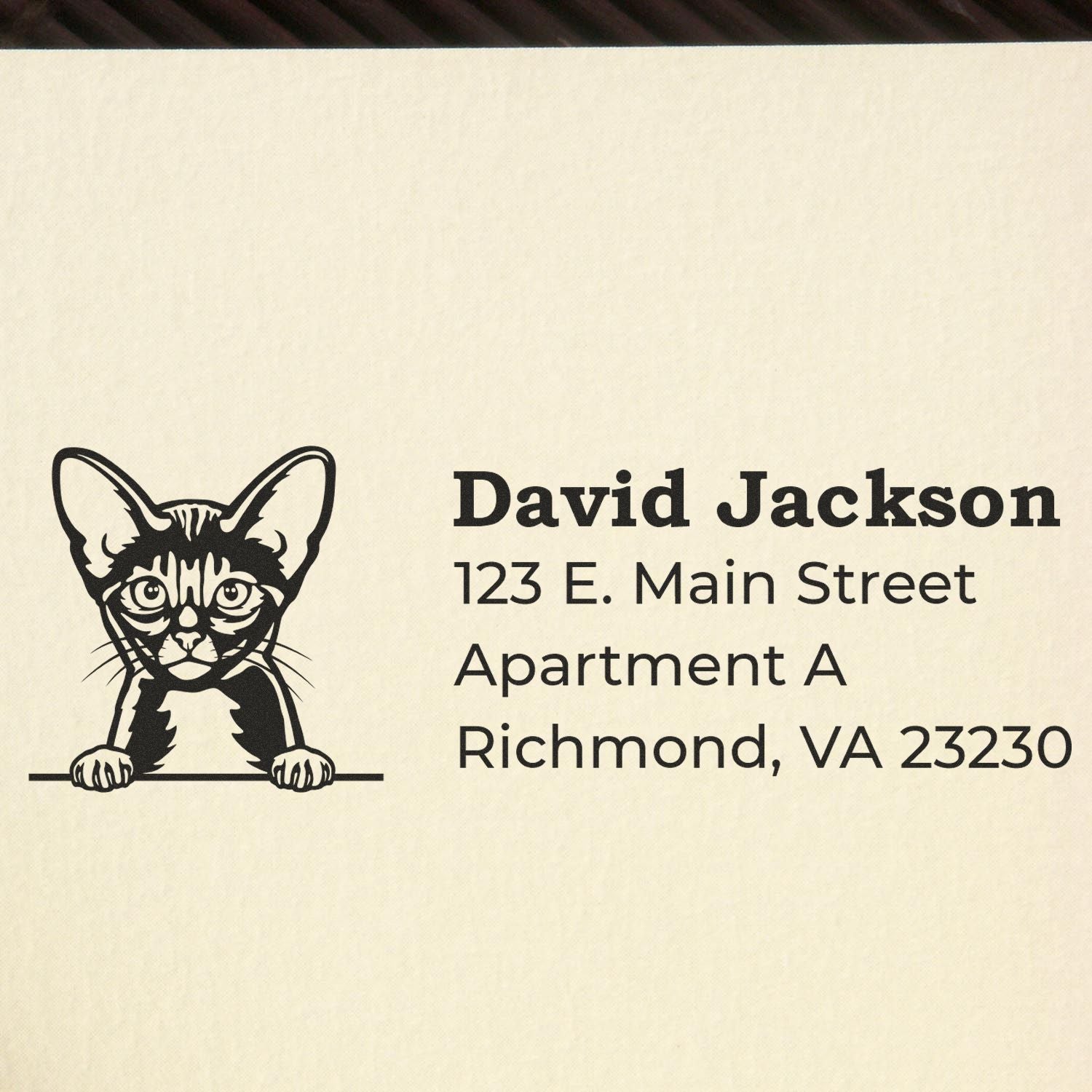 Custom cat return address rubber stamp with David Jackson, 123 E. Main Street, Apartment A, Richmond, VA 23230