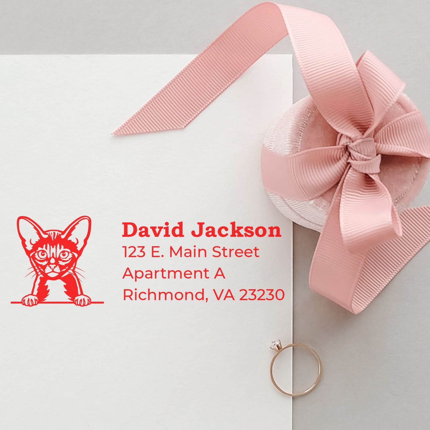 Custom rubber stamp return address on white envelope with cat logo and pink ribbon, personalized for David Jackson.