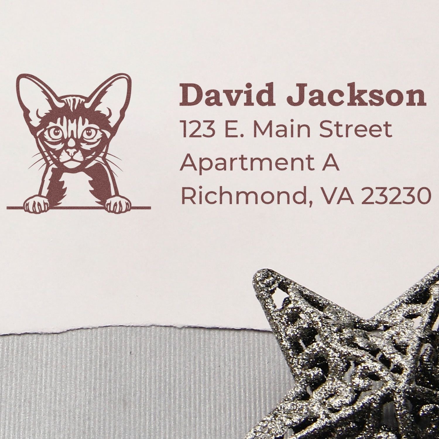 Custom cat return address rubber stamp with personalized name and mailing address for envelopes