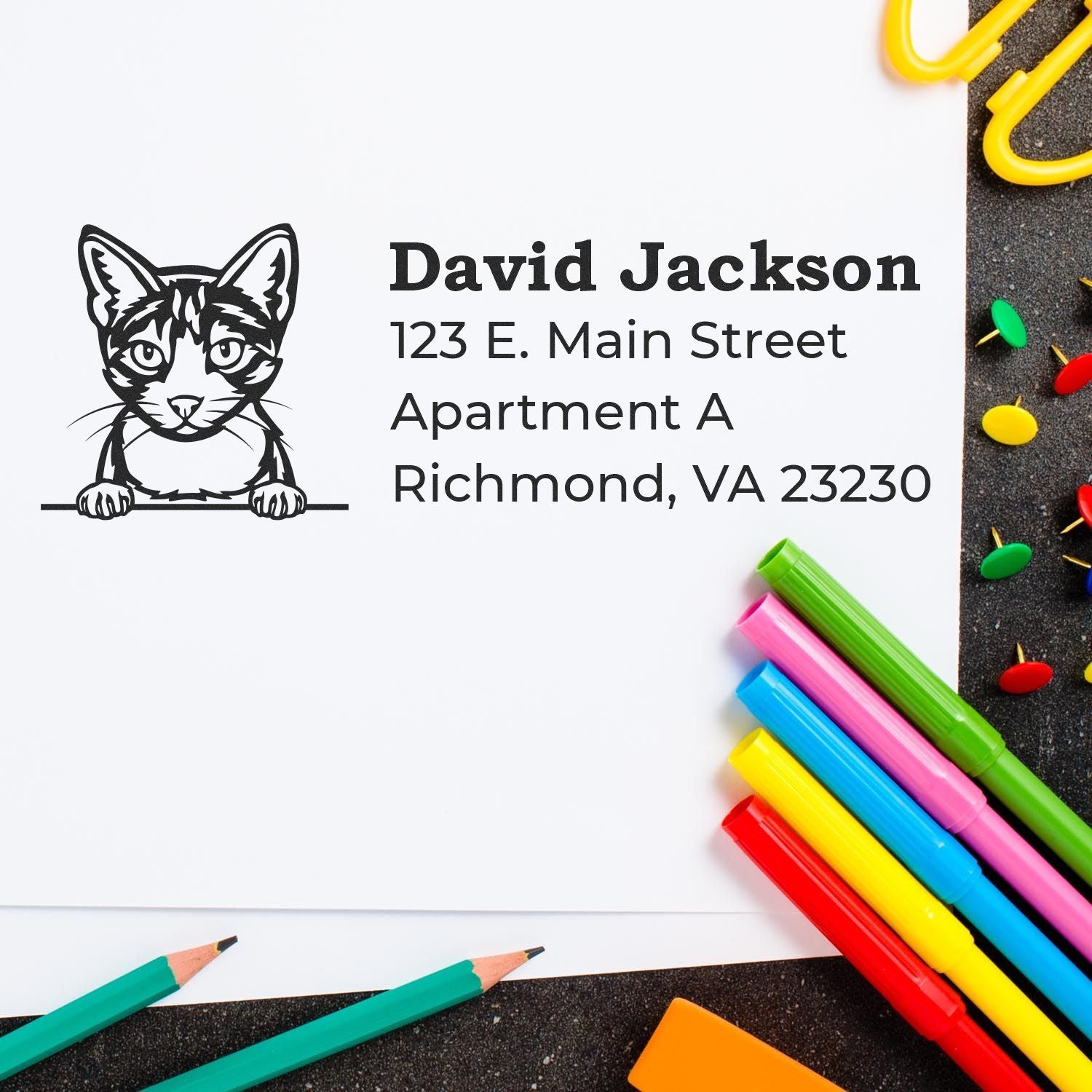 Custom cat return address rubber stamp with name and mailing address for envelopes, stationery, and business mail.