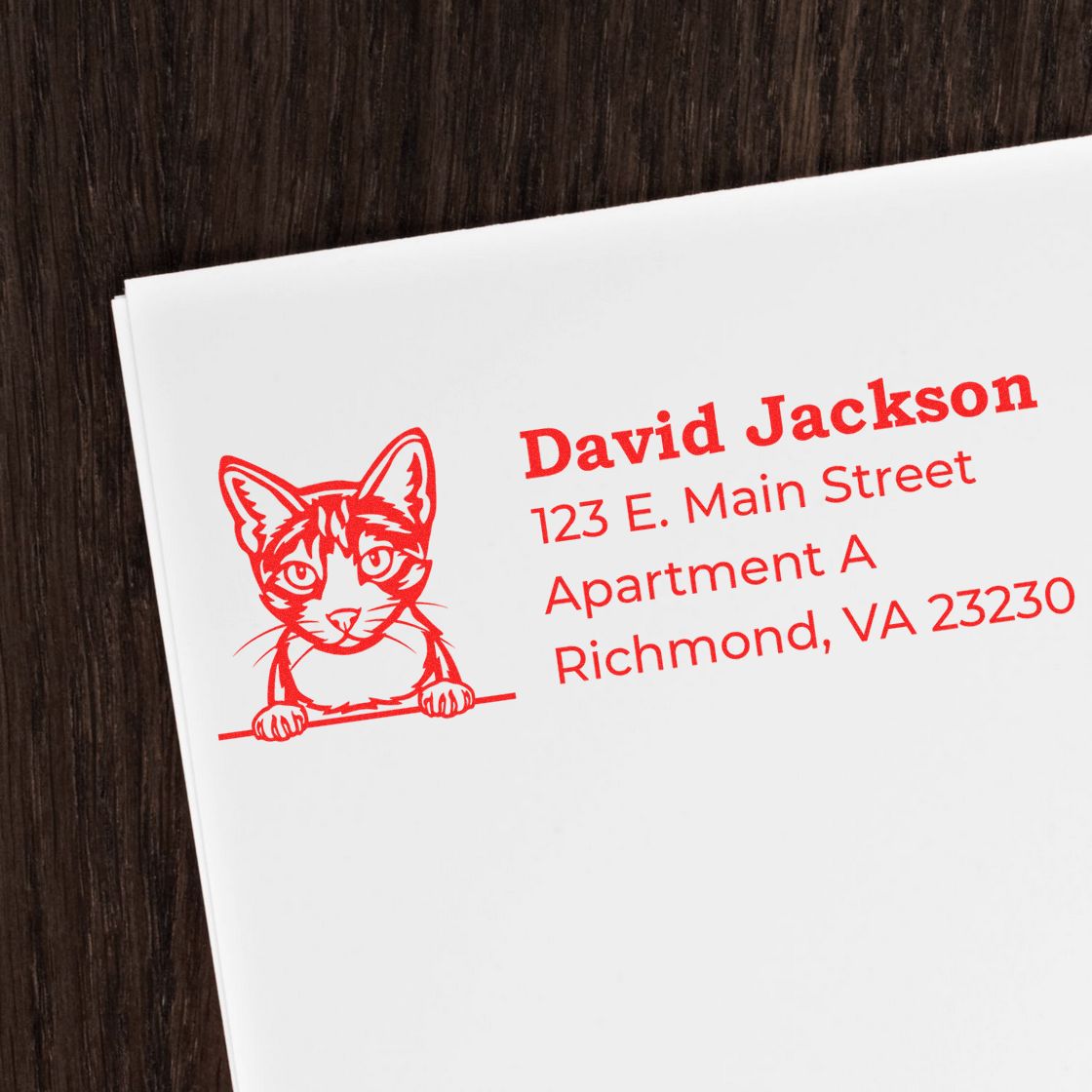 Custom cat return address rubber stamp on envelope with David Jackson name and Richmond, VA mailing address.