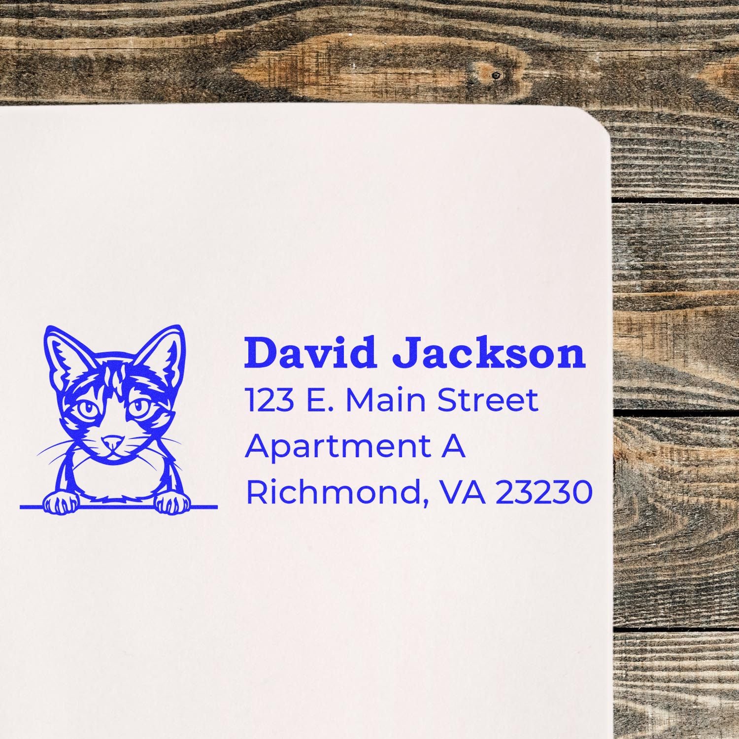Custom cat address rubber stamp for David Jackson, 123 E. Main Street Apt A, Richmond, VA 23230.