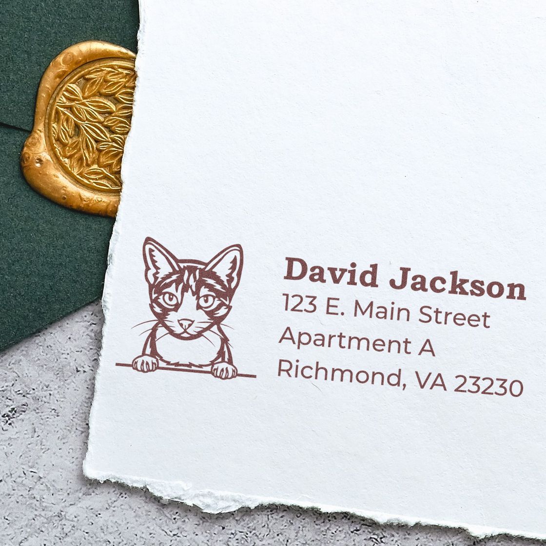 Custom cat return address rubber stamp with name and Richmond, VA address for envelopes and stationery.