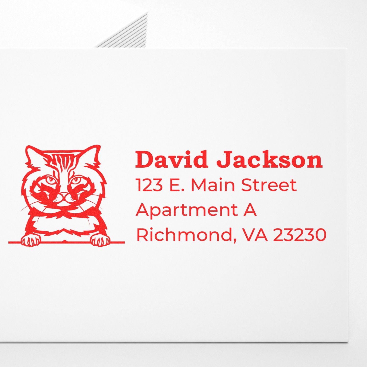 Custom cat return address rubber stamp on white envelope with David Jackson, Apartment A, Richmond, VA 23230.