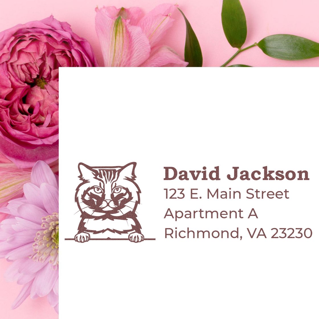 Custom cat return address rubber stamp for David Jackson, with name and Richmond, VA mailing address.