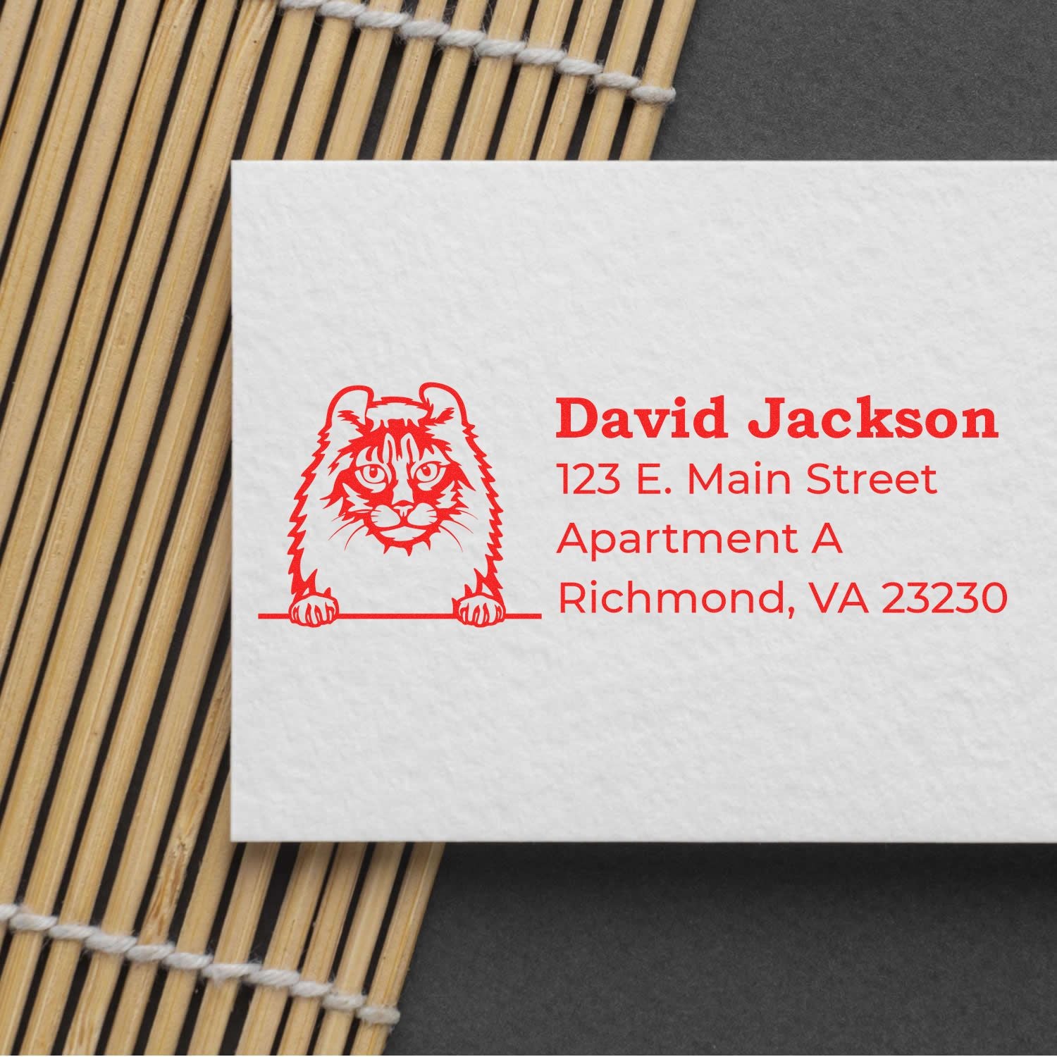 Custom cat return address rubber stamp with name and Richmond, VA mailing address for personalized envelopes