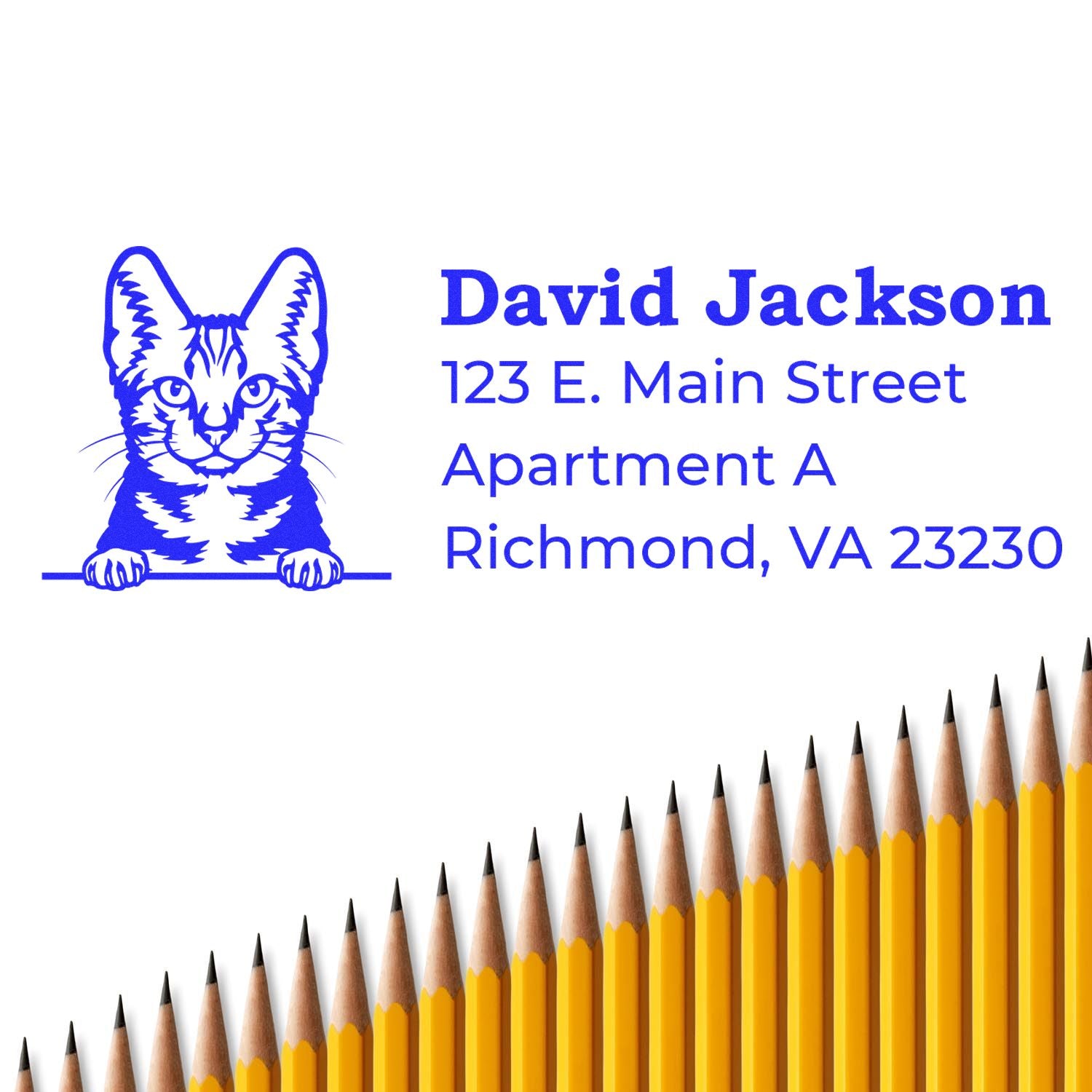 Custom cat address rubber stamp with name and Richmond, VA address, shown as blue imprint for mailing and crafts.