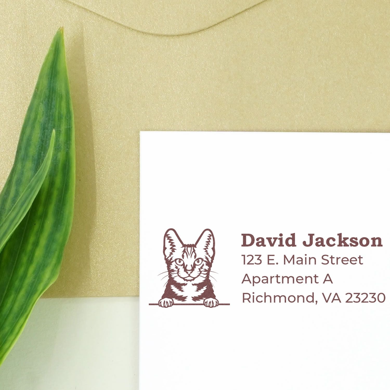 Custom cat return address rubber stamp for pet lovers, featuring a feline illustration and Richmond, VA mailing address.