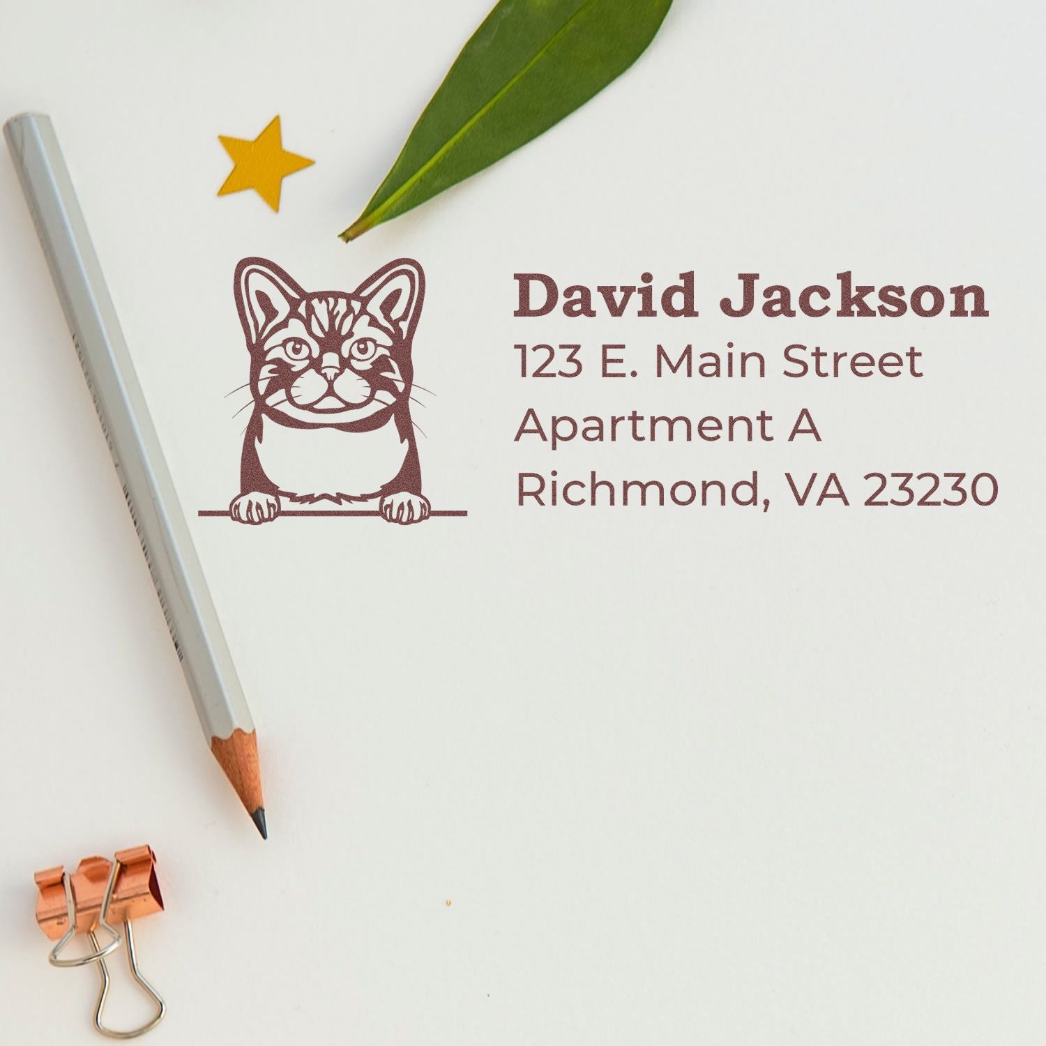 Custom pet-themed address rubber stamp with cat icon, David Jackson name, and Richmond, VA mailing address.
