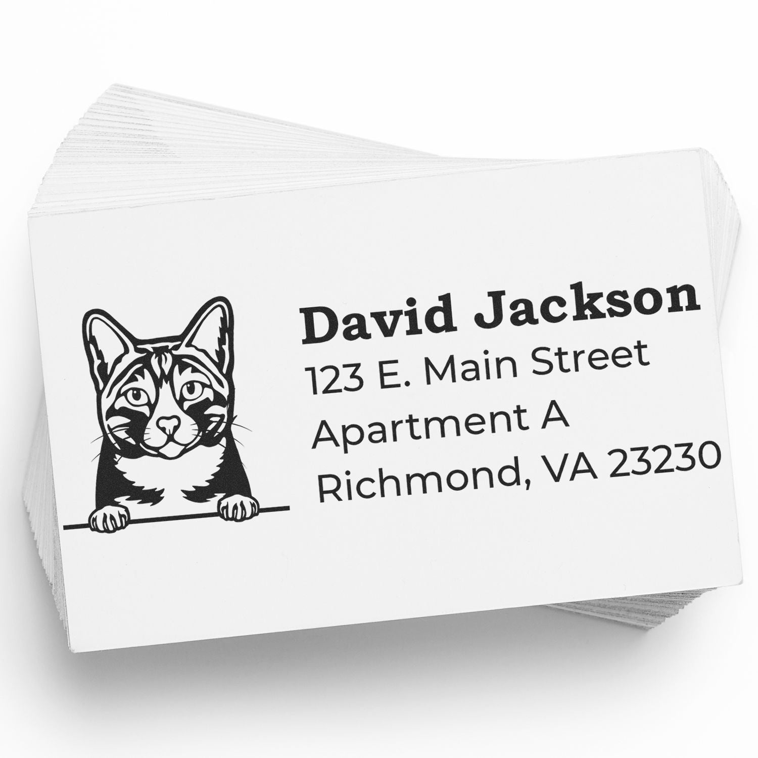 Personalized cat address rubber stamp with name, street address, and Richmond, VA return address
