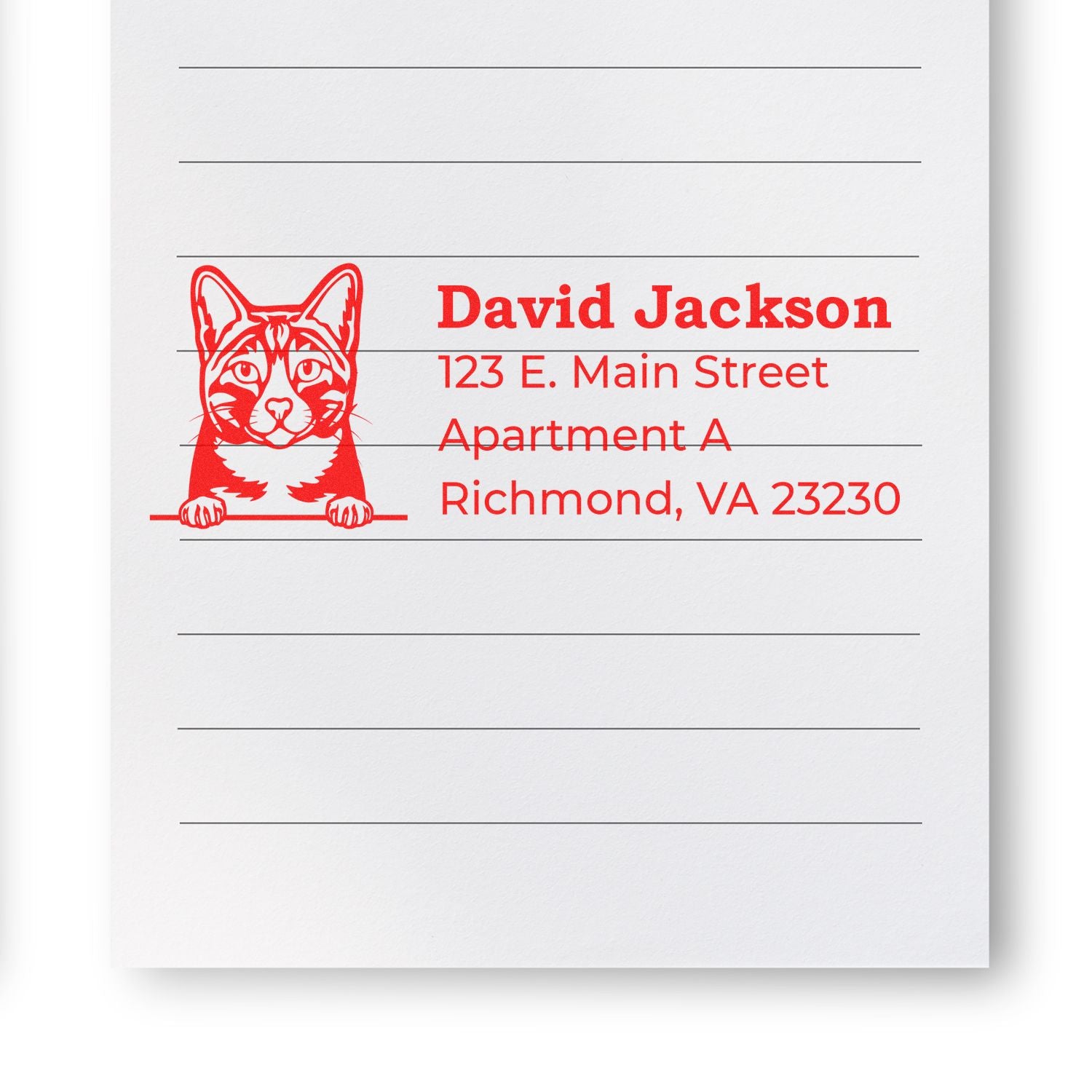 Custom cat return address rubber stamp with David Jackson, 123 E. Main Street Apt A, Richmond, VA 23230.