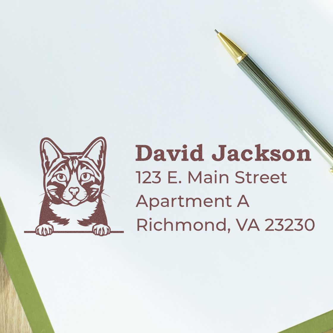 Custom return address rubber stamp with cat design for David Jackson, Richmond, VA envelopes and mailings.