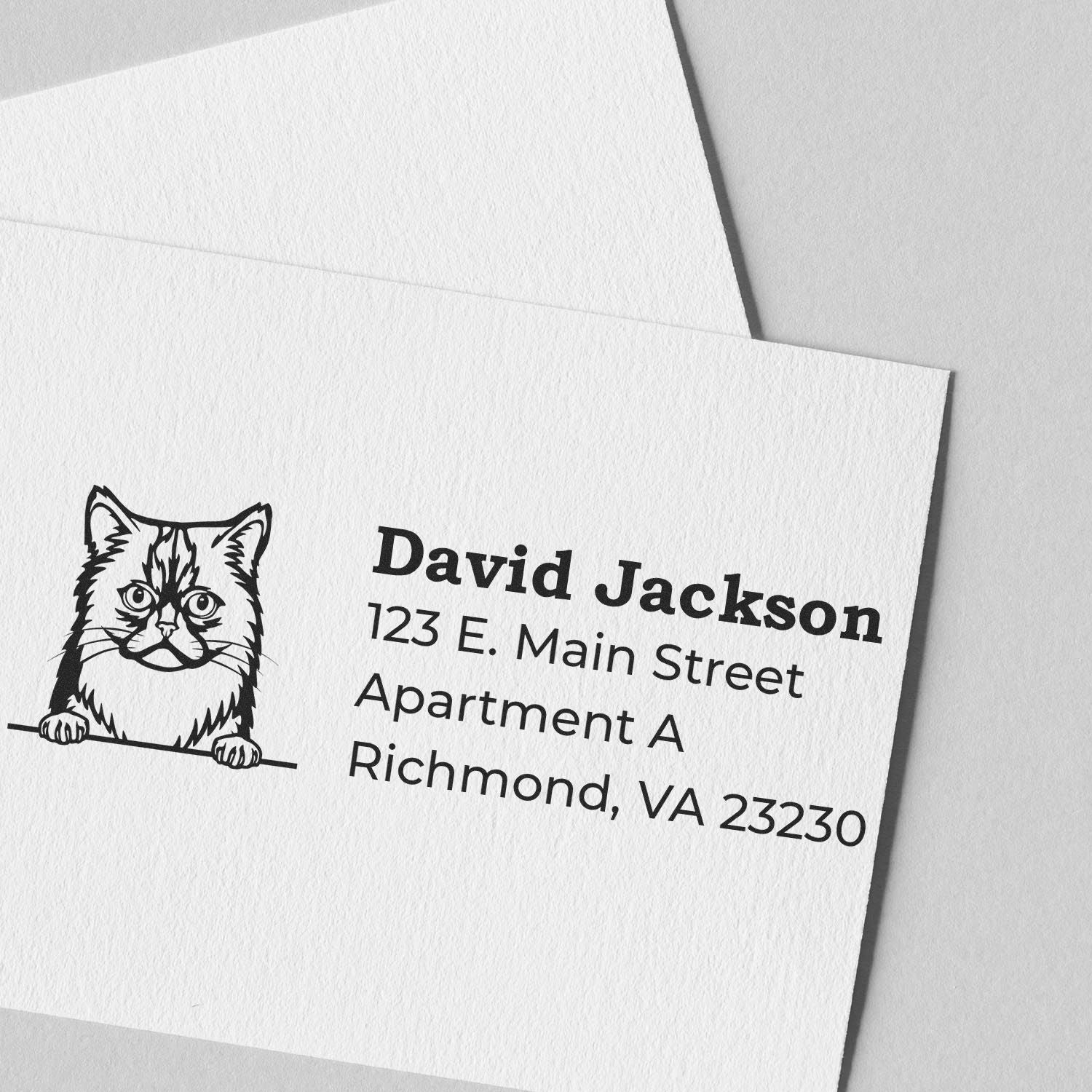 Custom cat return address rubber stamp with name and Richmond, VA mailing address on white cardstock.