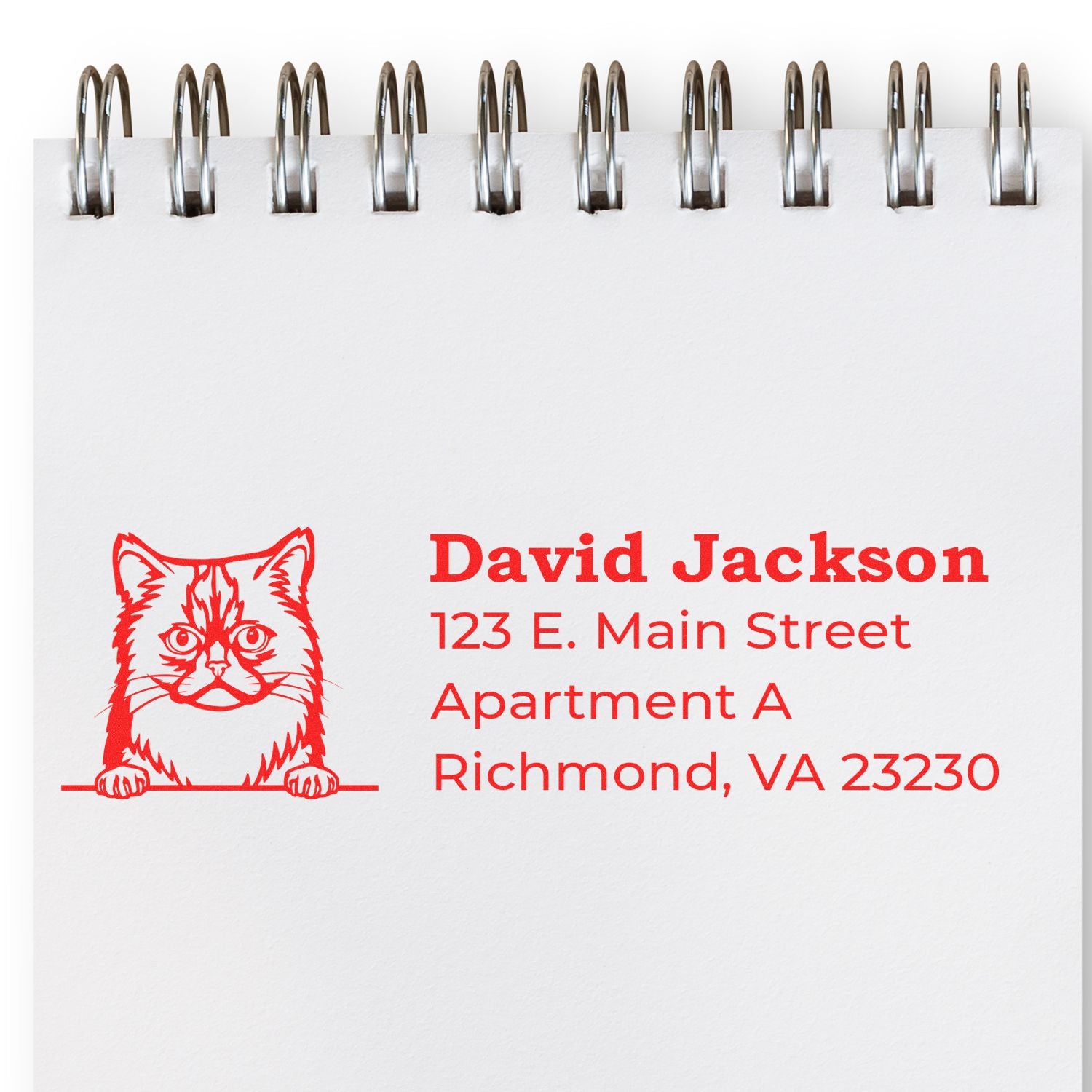 Personalized cat return address rubber stamp for David Jackson, Richmond, VA 23230.