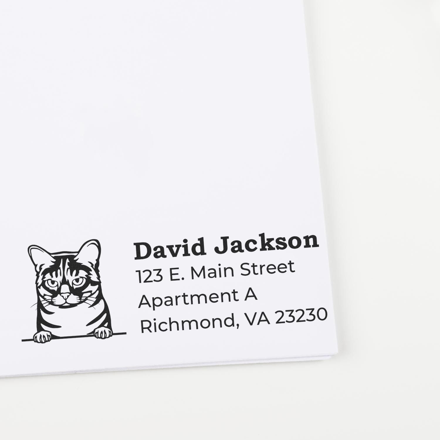 Custom return address rubber stamp with cat design, name, and Richmond, VA address for envelopes and stationery.